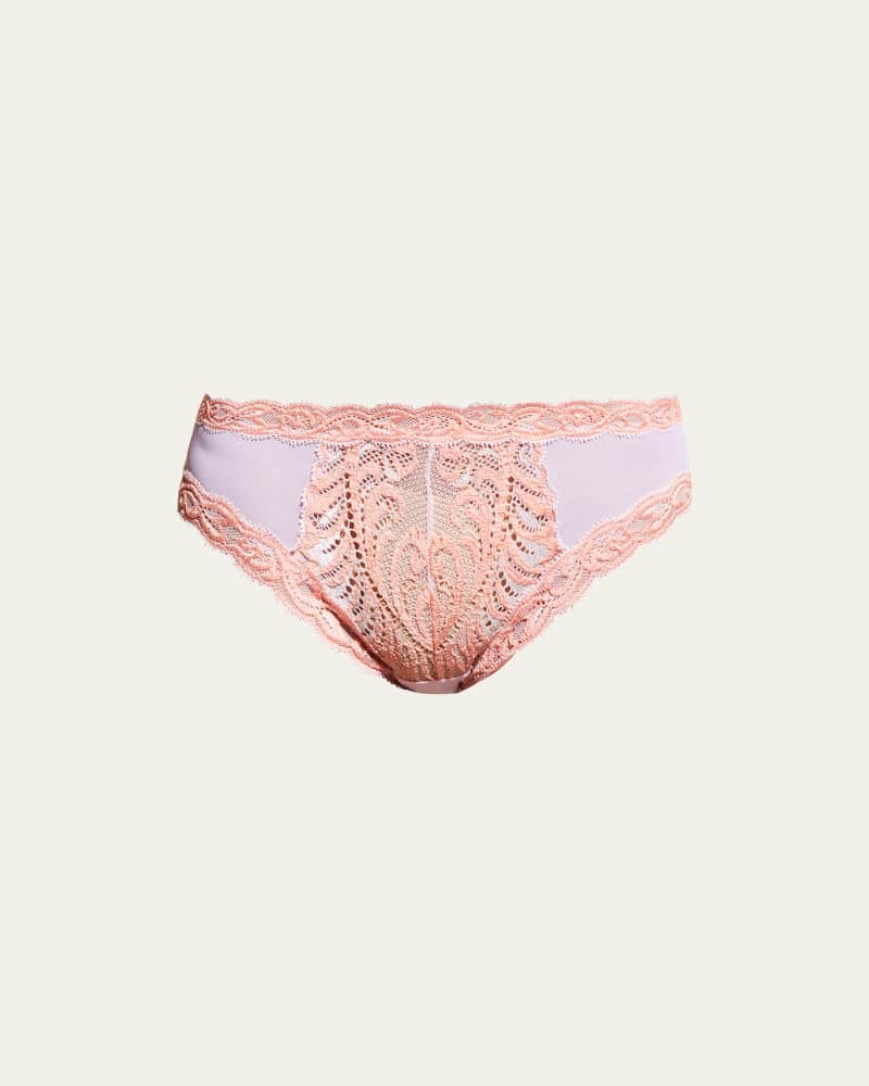 Feathers Lace-Trim and Mesh Hipster Briefs