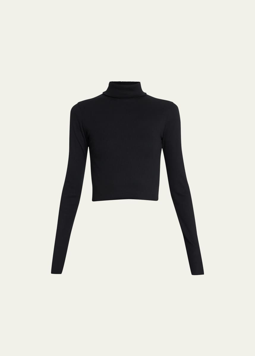 Eterne Cropped Fitted Turtleneck Top