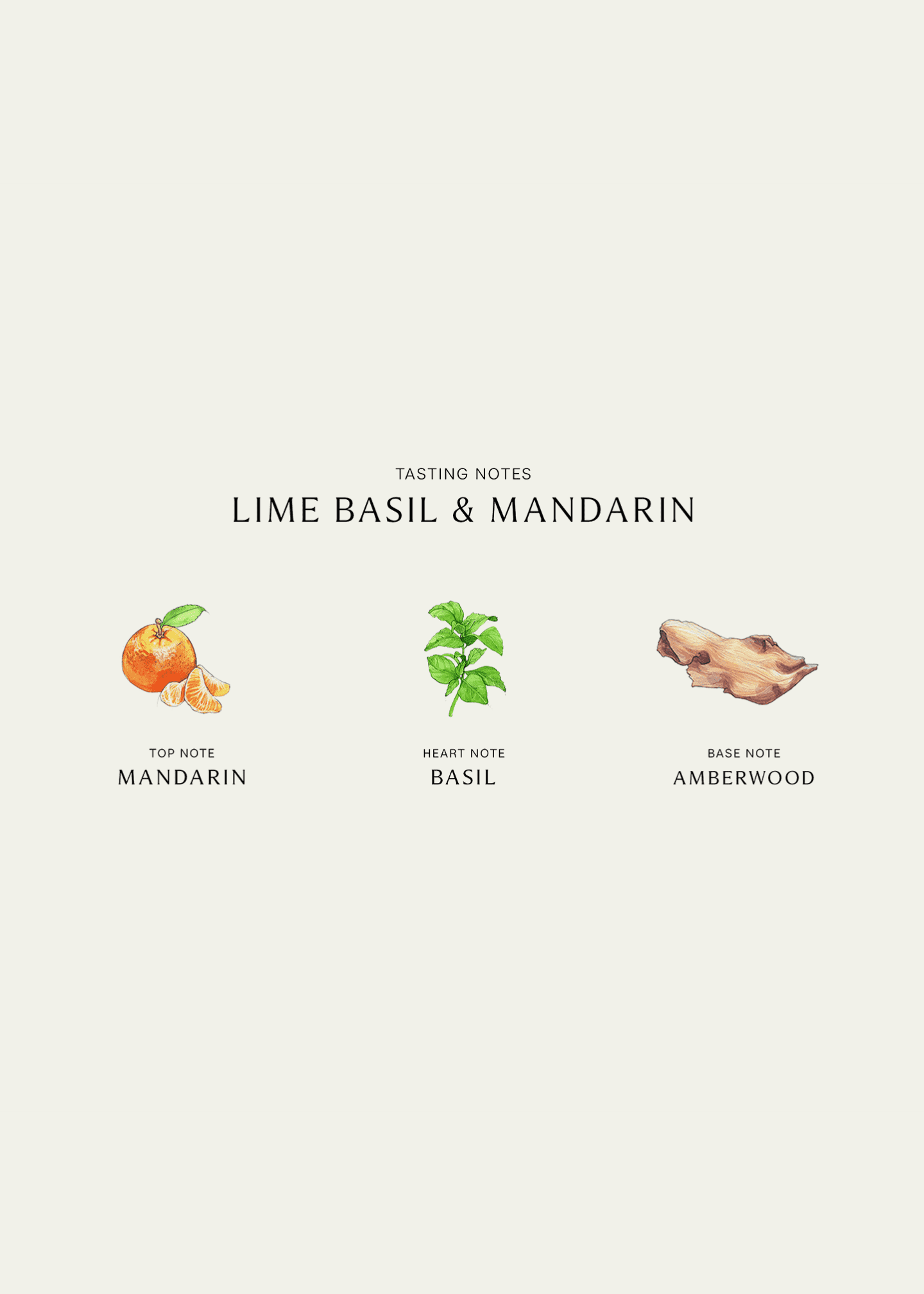 Jo Malone London Lime Basil Mandarin Diffuser, 5.5 oz. Image 3 of 3