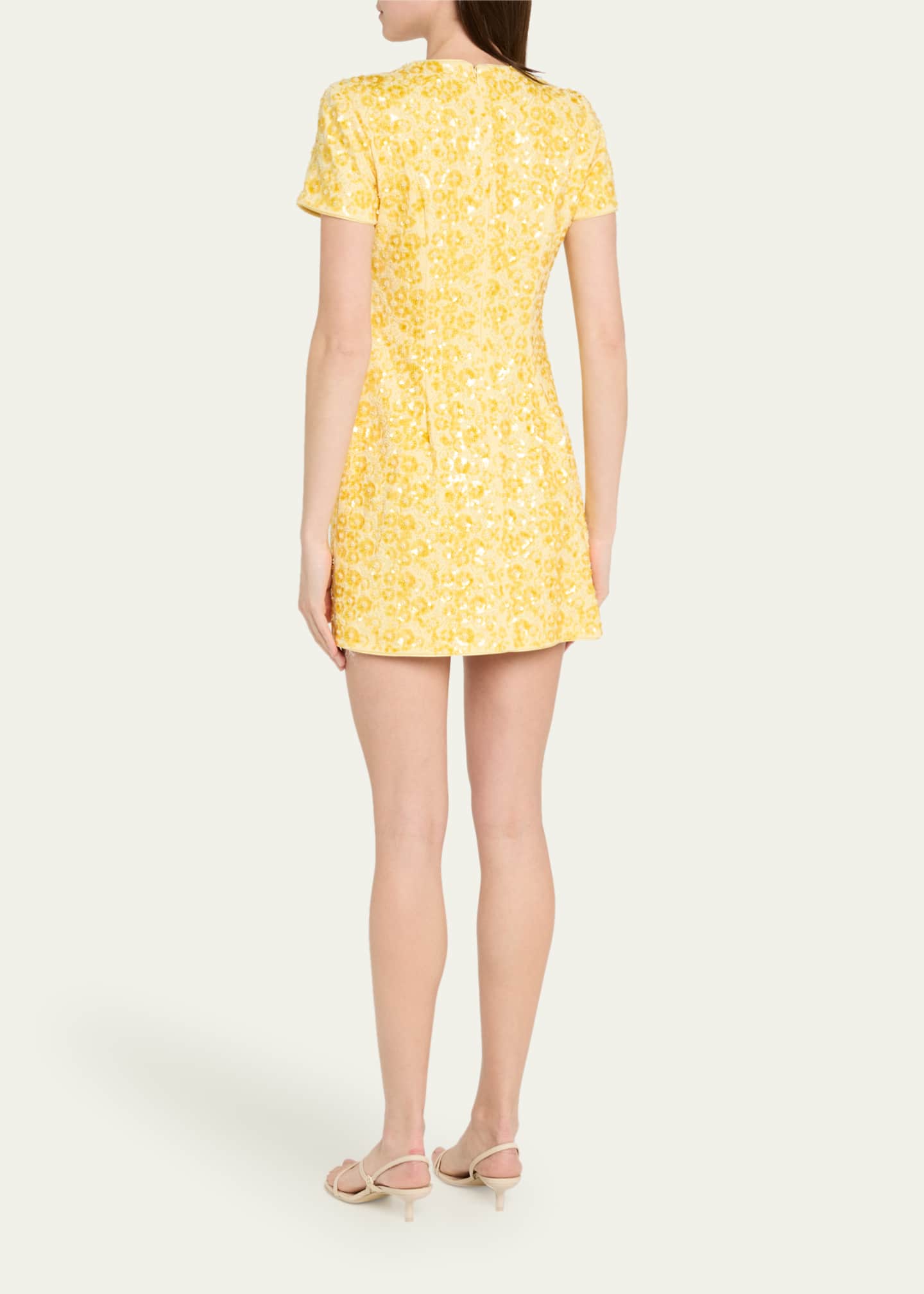 SIMKHAI Clove Sequined Short-Sleeve Mini Dress Image 3 of 5