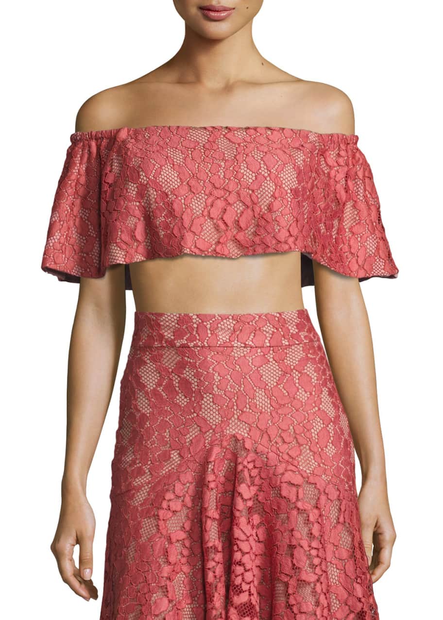 Image 1 of 1: Taza Off-the-Shoulder Lace Crop Top, Pink