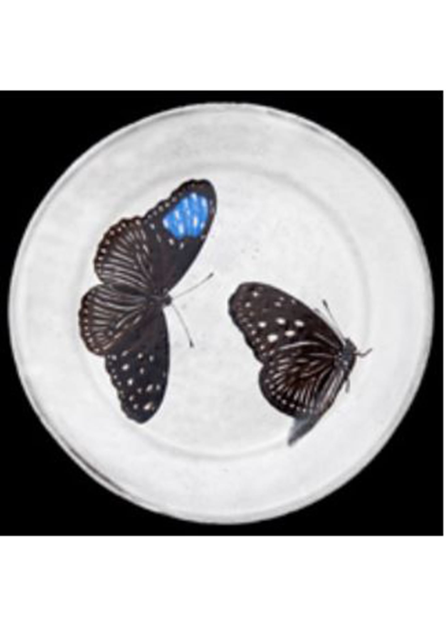 Astier De Vilatte Flying Landed Butterflies Plate 7.5" In White