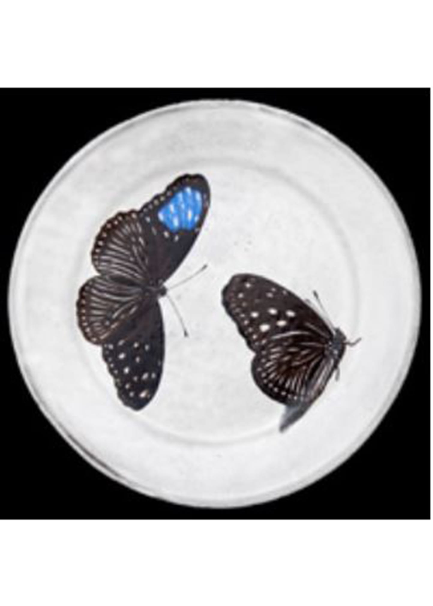 ASTIER DE VILATTE FLYING LANDED BUTTERFLIES PLATE 7.5"