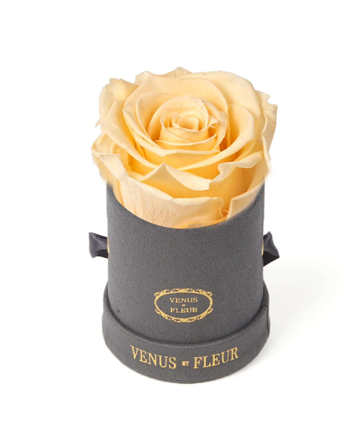 Venus Et Fleur Suede Mini Round Rose Box In Champagne
