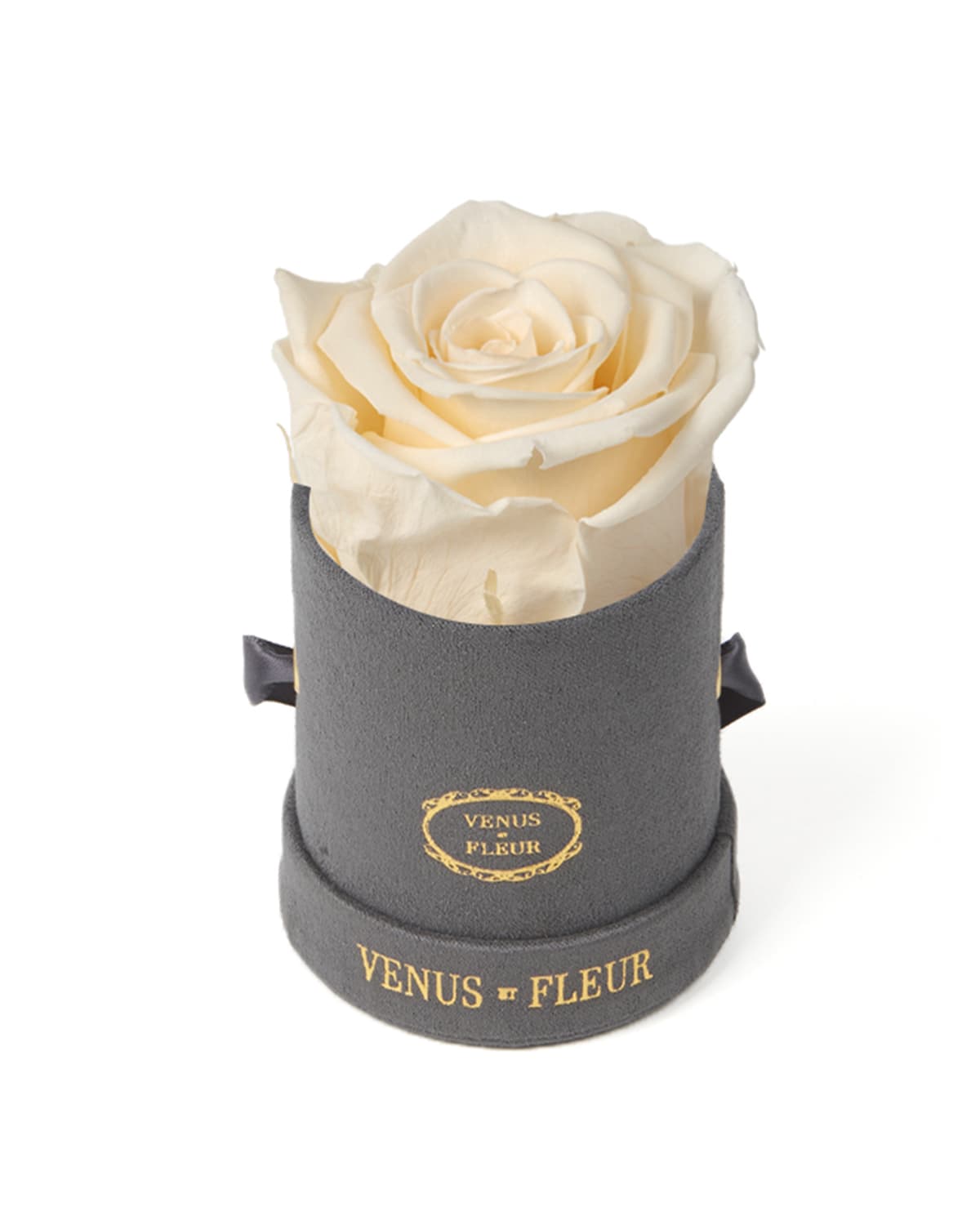 Venus Et Fleur Suede Mini Round Rose Box In Brown