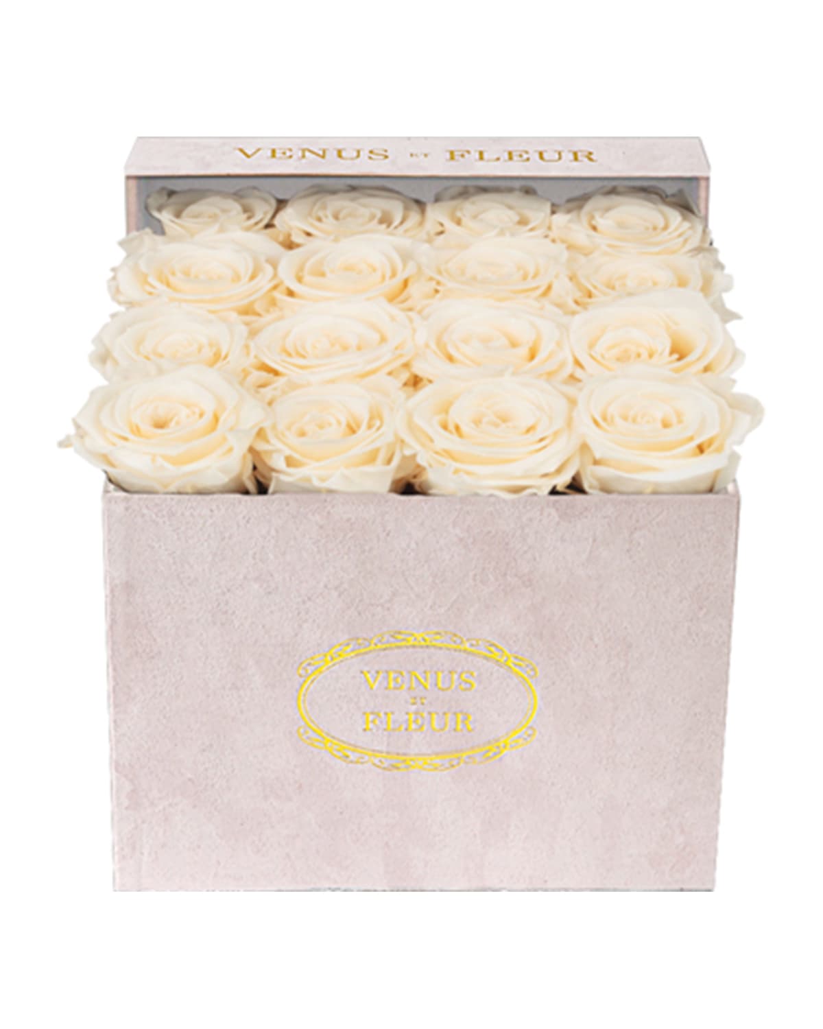 Venus Et Fleur Suede Small Square Rose Box In Pearl