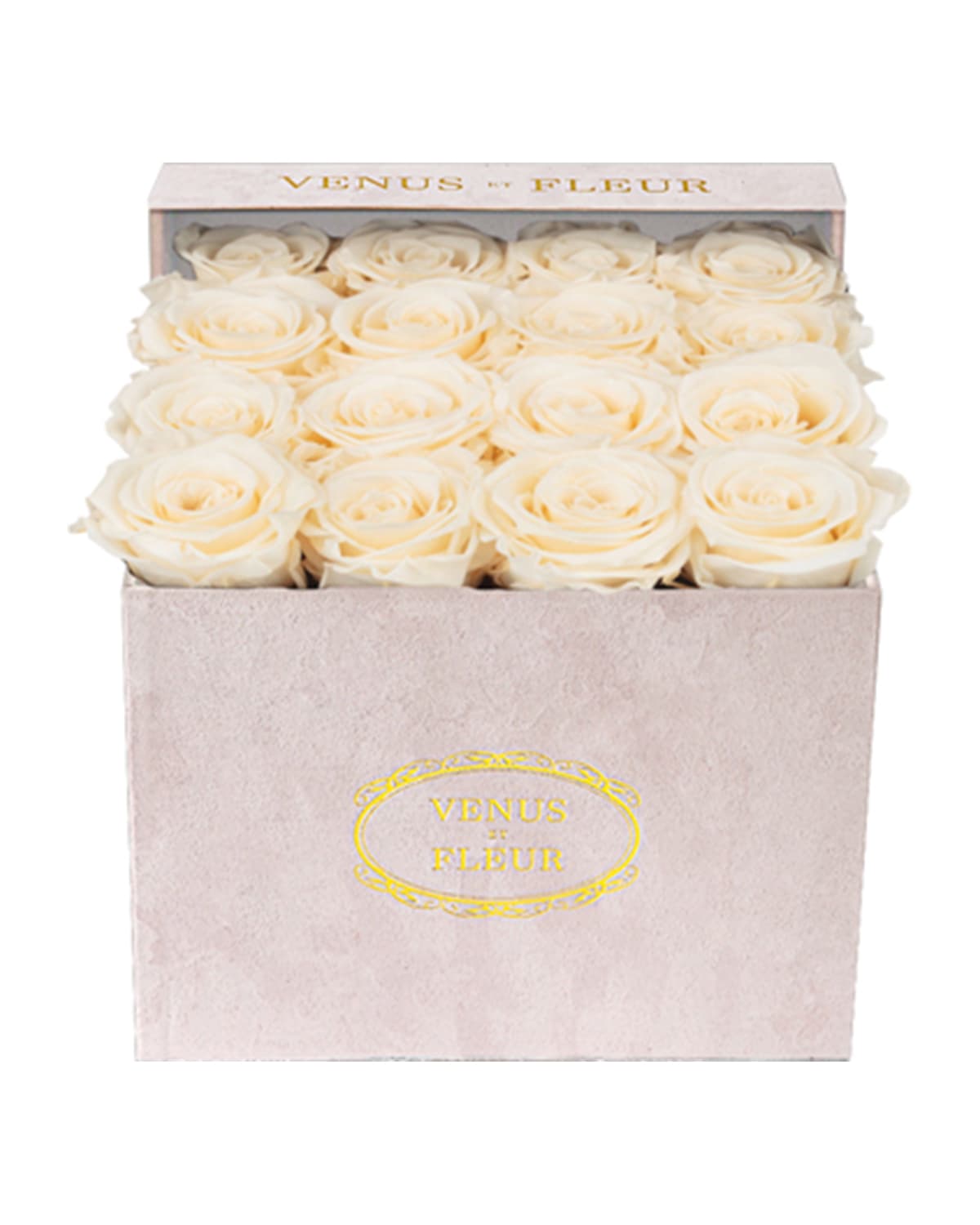 Venus Et Fleur Suede Small Square Rose Box In Neutral