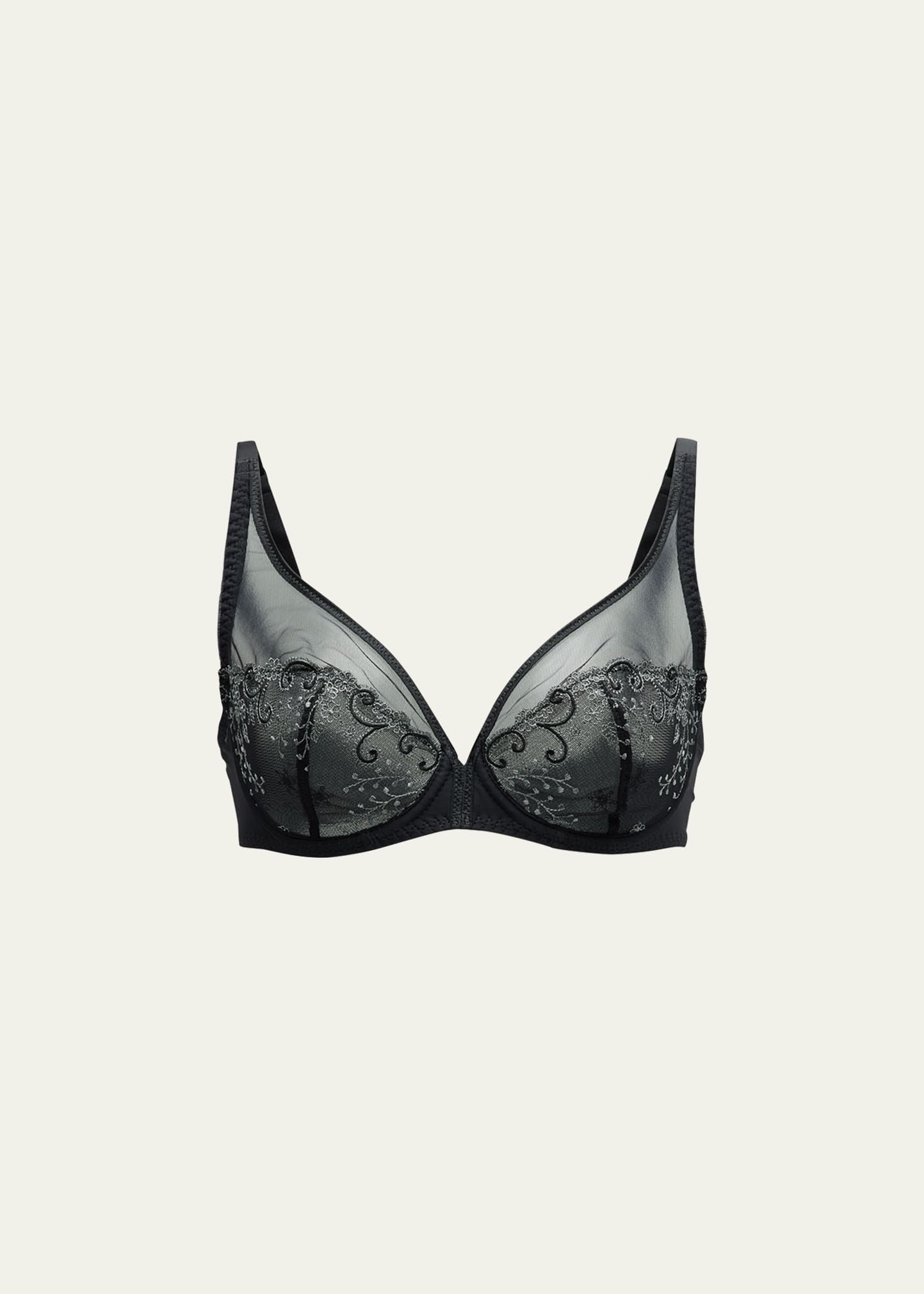 Delice Two-Part Full-Cup Sheer Plunge Bra