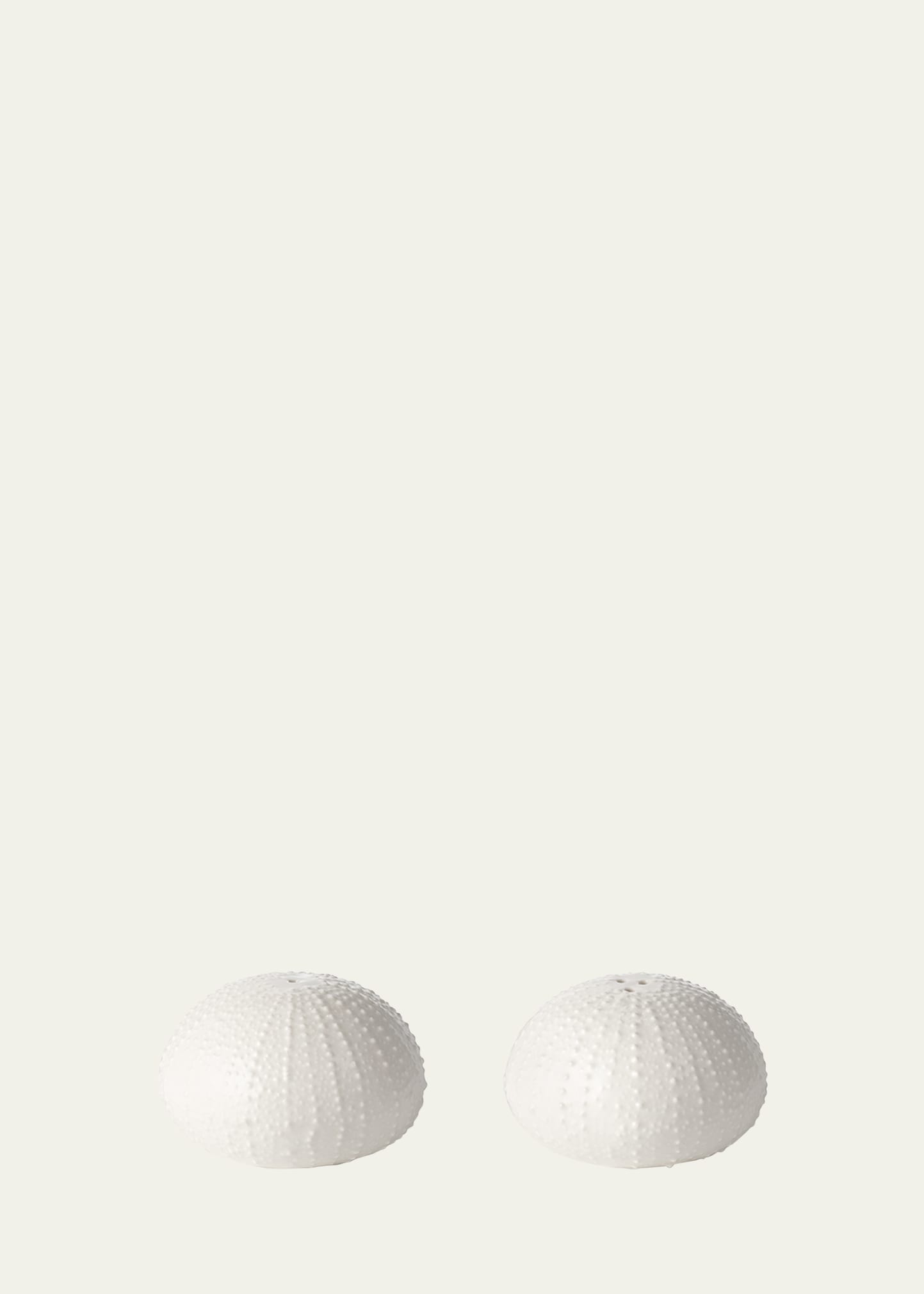 Shop Aerin Ceramic Sea Urchin Salt And Pepper Shakers In White