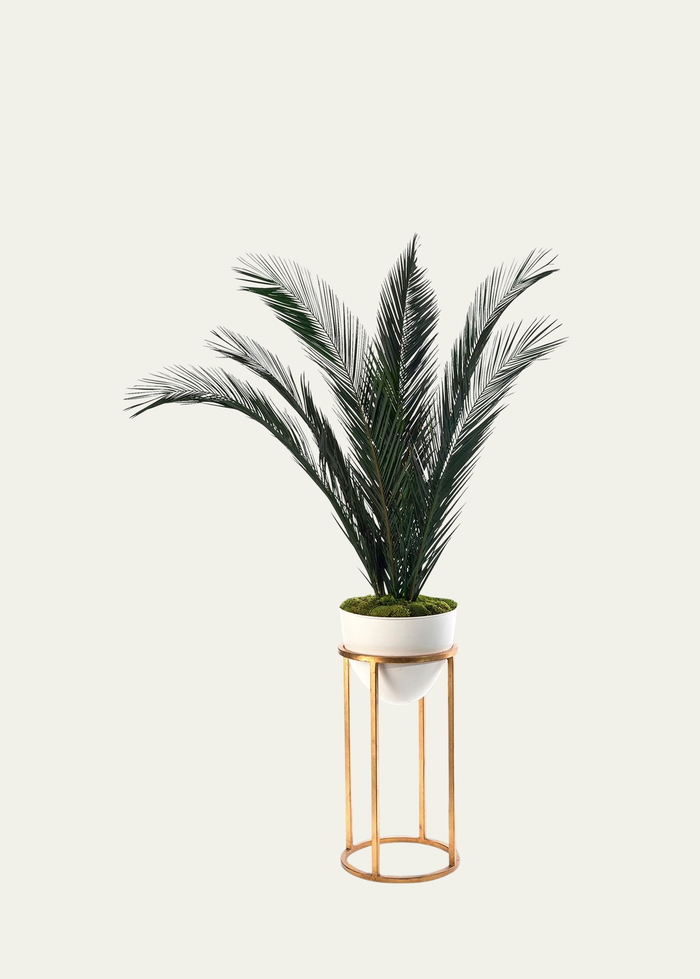 Mid-Century Palms with Metal Stand