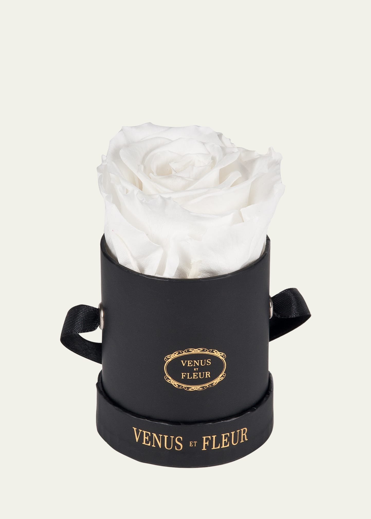 Shop Venus Et Fleur Classic Mini Round Rose Box In White