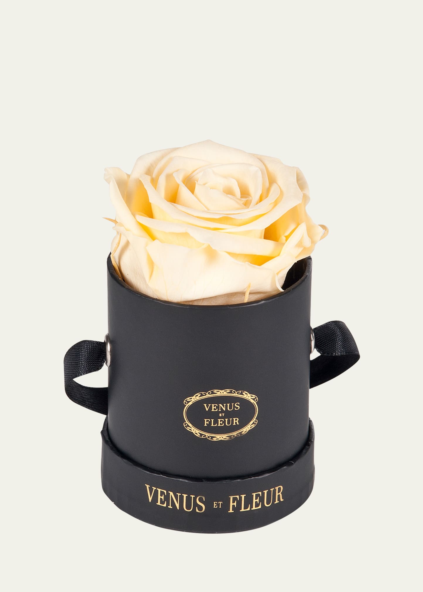 Venus Et Fleur Classic Mini Round Rose Box In Champagne