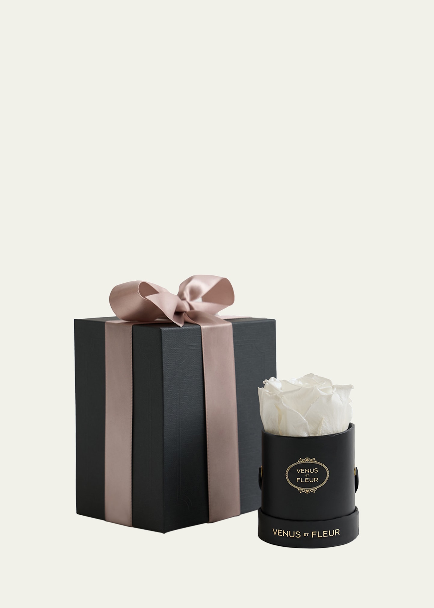 Venus Et Fleur Classic Mini Round Rose Box In Pearl