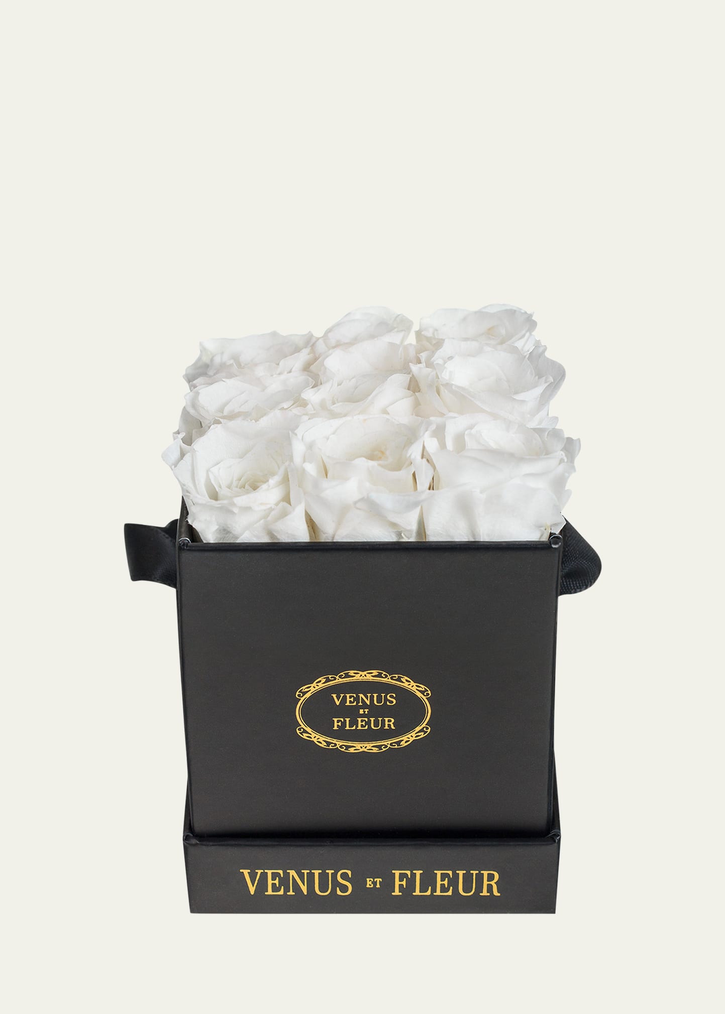 Shop Venus Et Fleur Classic Mini Square Rose Box In White