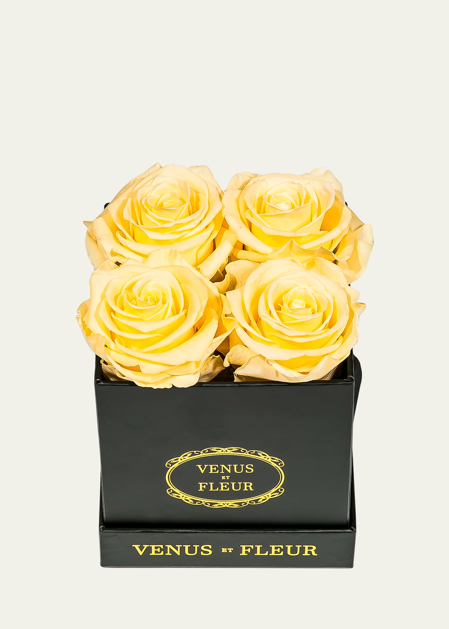 Shop Venus Et Fleur Classic Petite Square Rose Box In Champagne