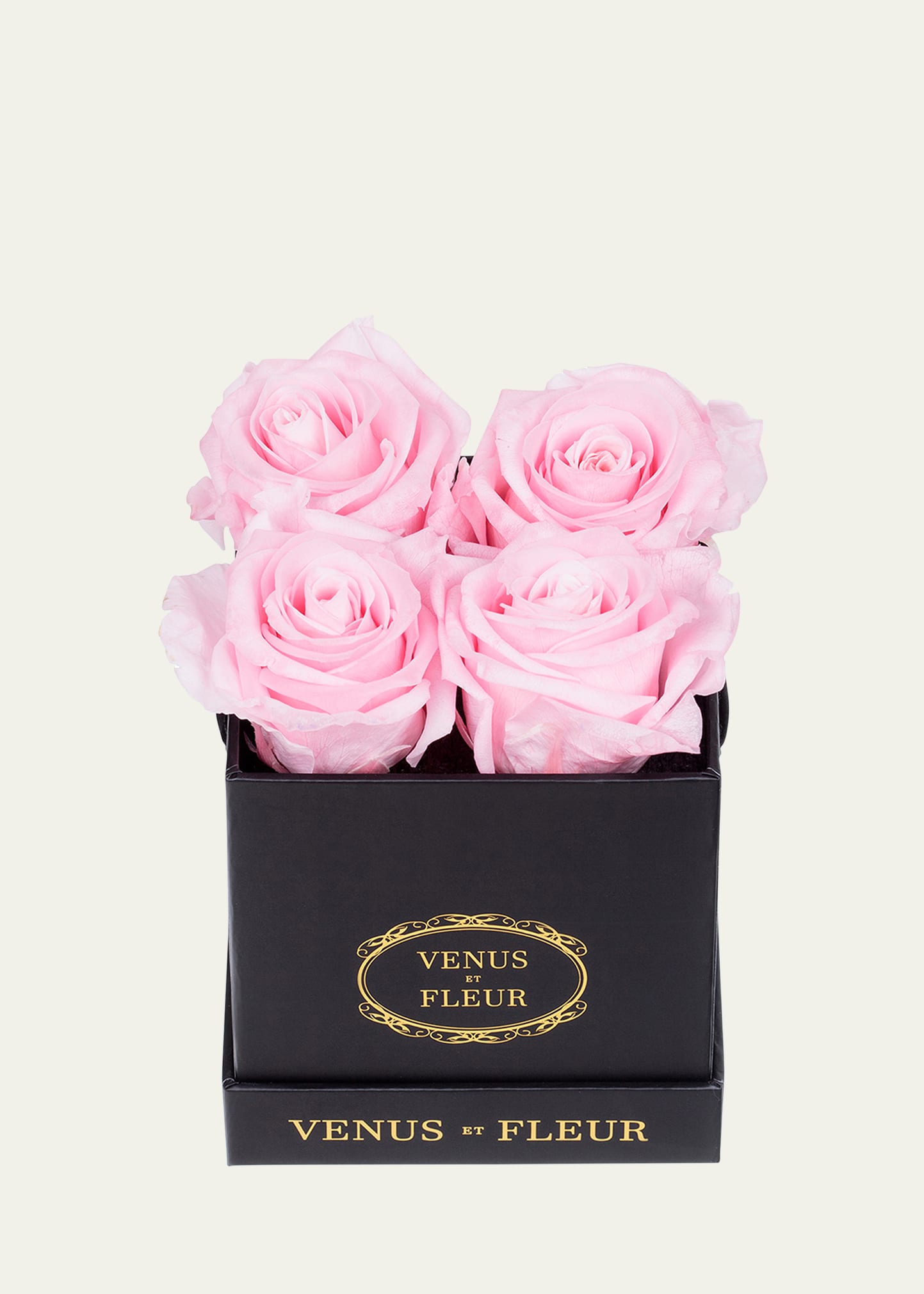 Shop Venus Et Fleur Classic Petite Square Rose Box In Pink