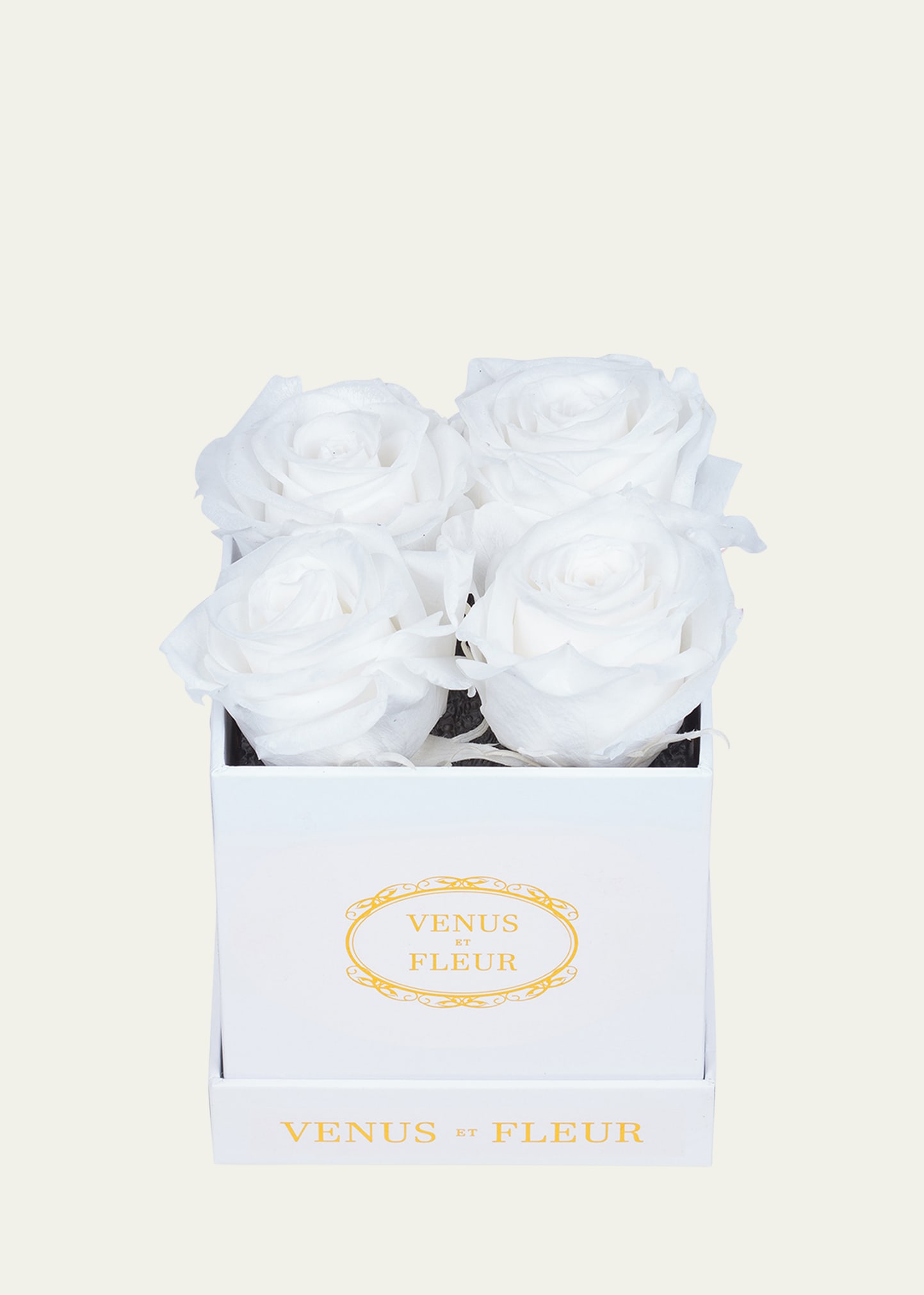 Shop Venus Et Fleur Classic Petite Square Rose Box In White