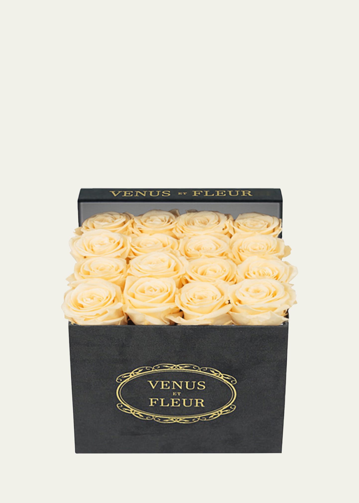 Venus Et Fleur Suede Small Square Rose Box In Black
