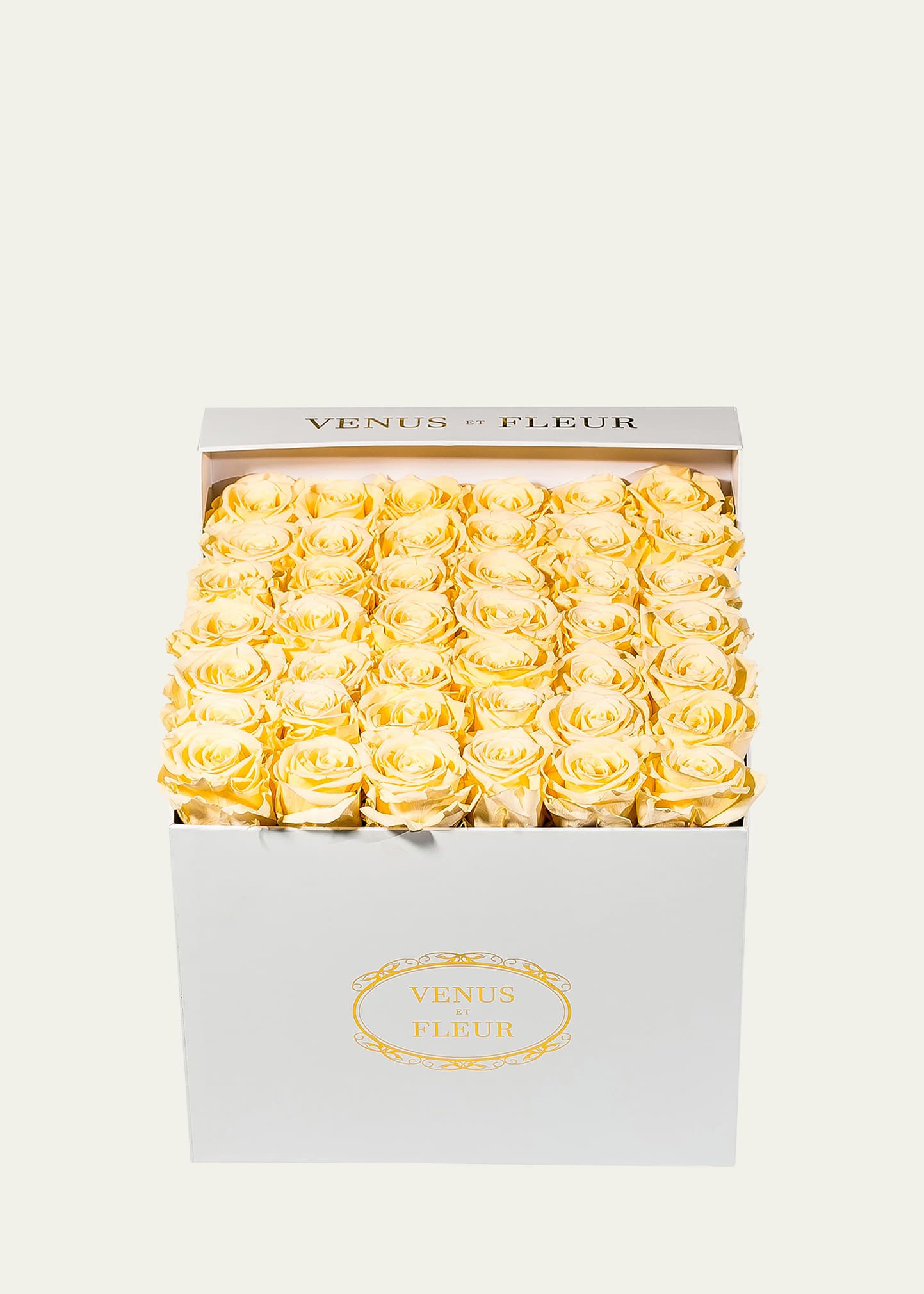 Venus Et Fleur Classic Large Square Rose Box In Champagne