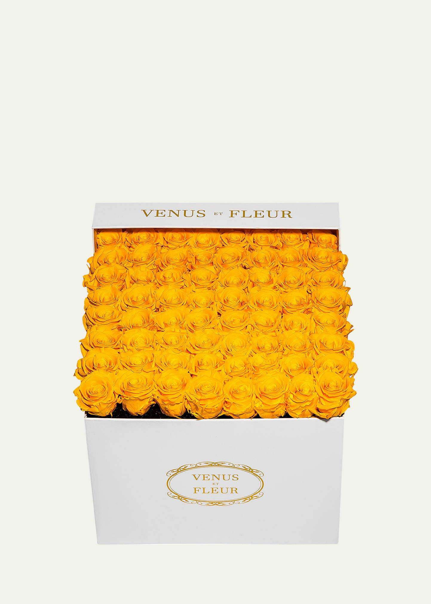 Venus Et Fleur Classic Large Square Rose Box In Yellow