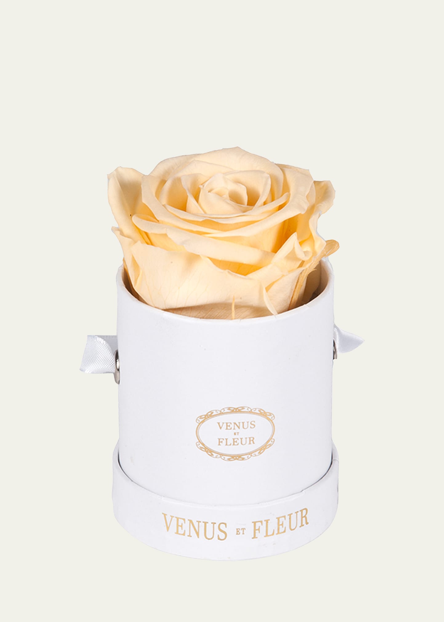 Venus Et Fleur Classic Mini Round Rose Box In Champagne