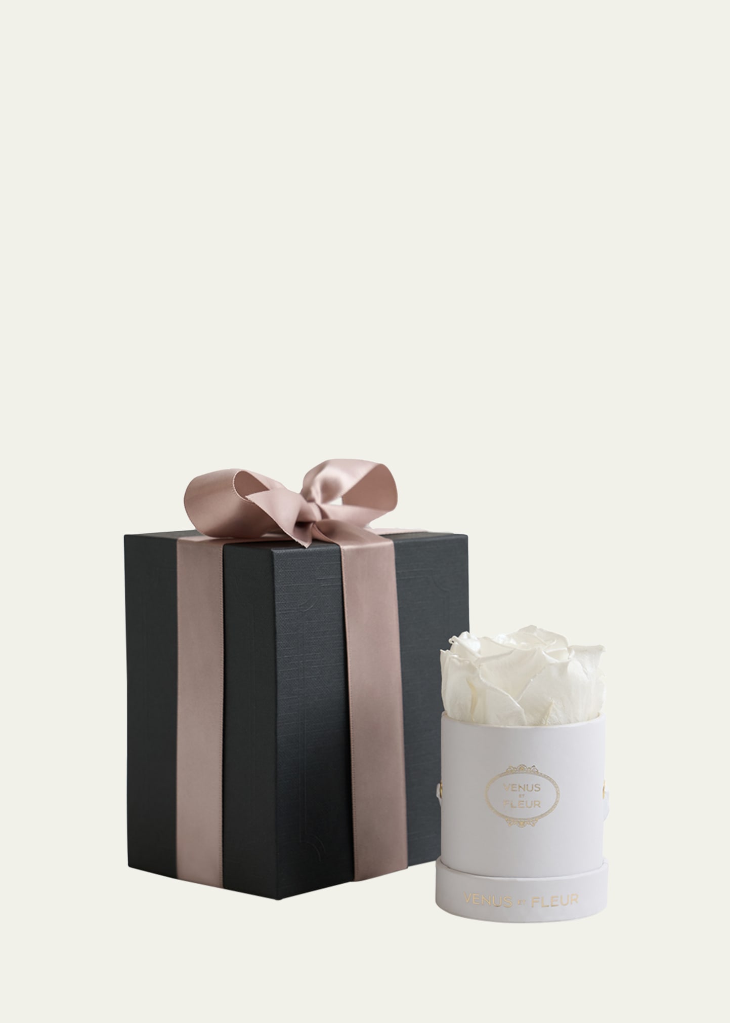 Venus Et Fleur Classic Mini Round Rose Box In Pearl