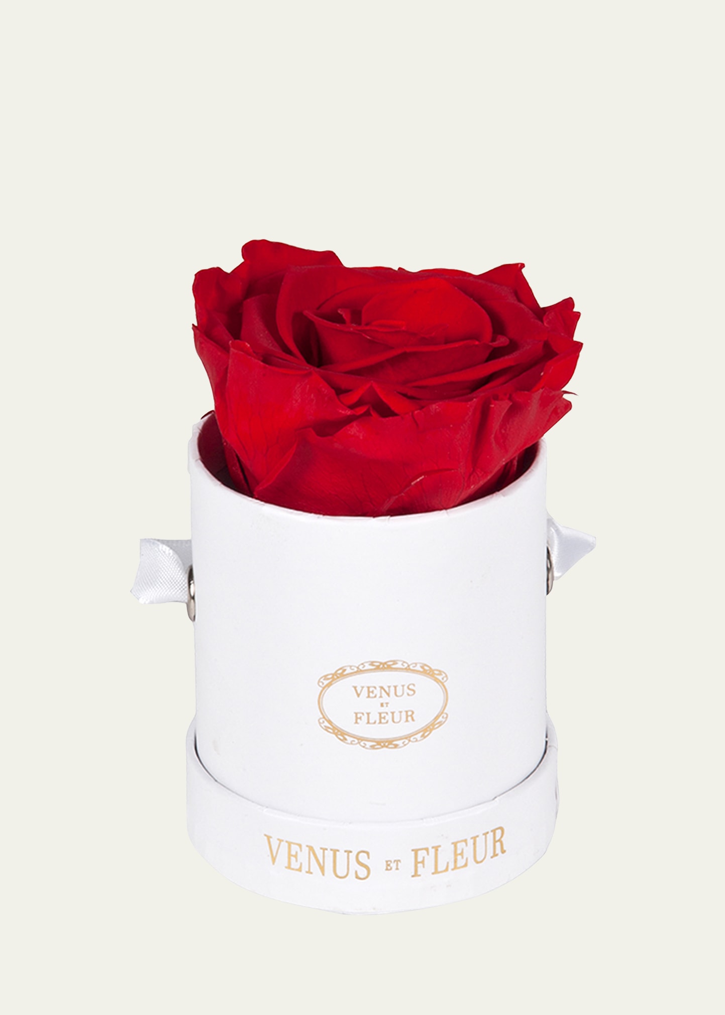 Shop Venus Et Fleur Classic Mini Round Rose Box In Red