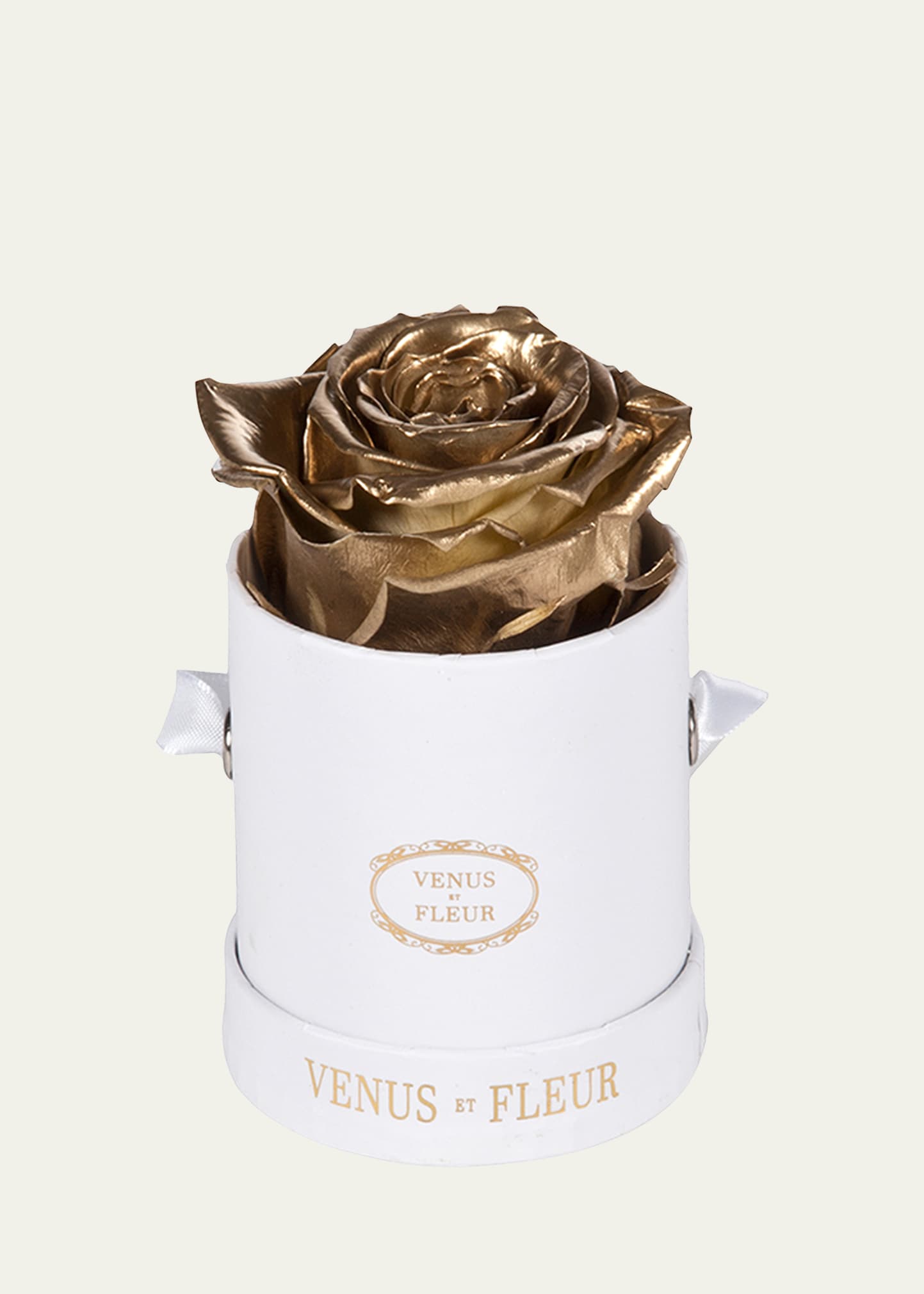 Shop Venus Et Fleur Classic Mini Round Rose Box In Gold