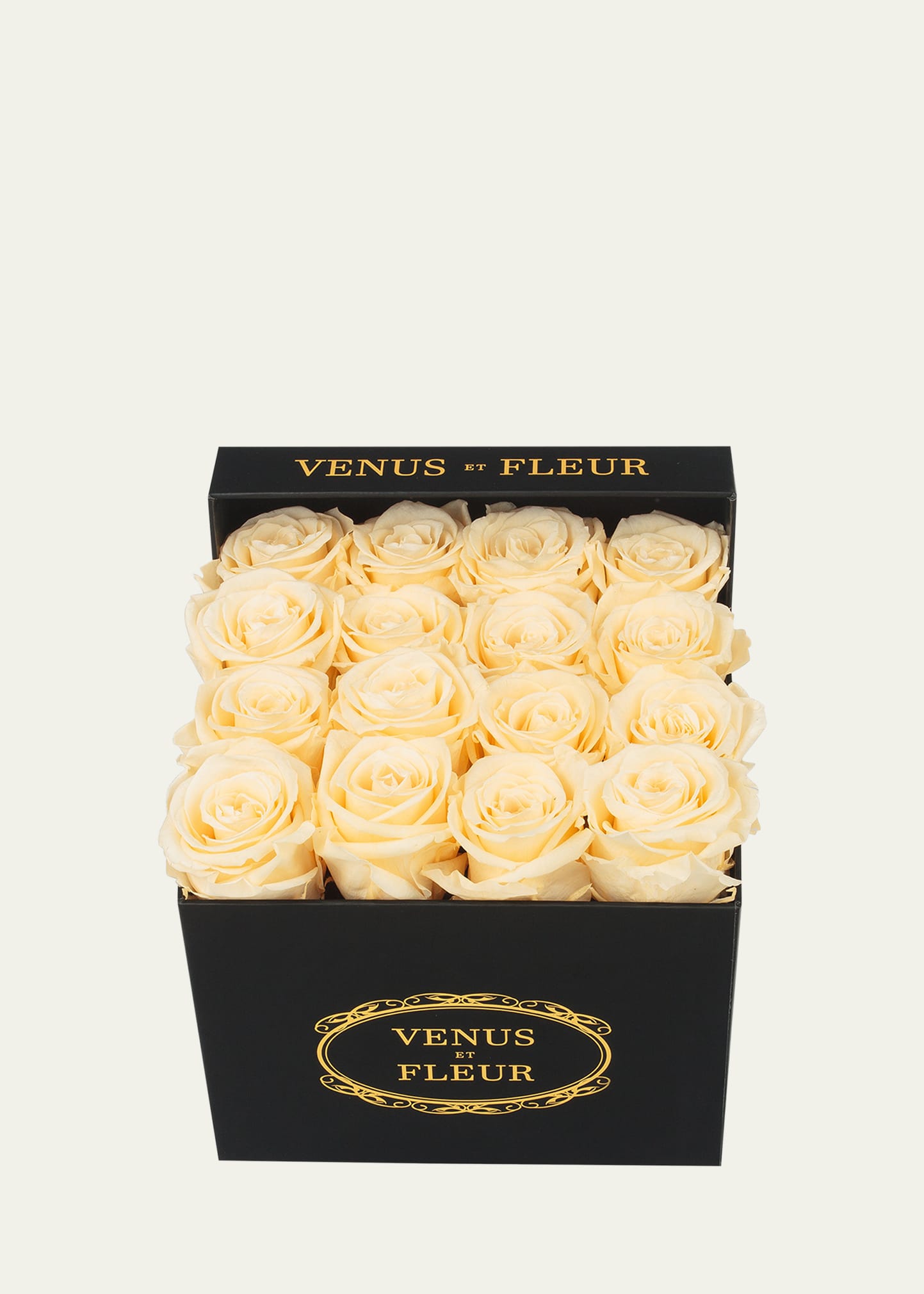 Venus Et Fleur Classic Small Square Rose Box In Neutral