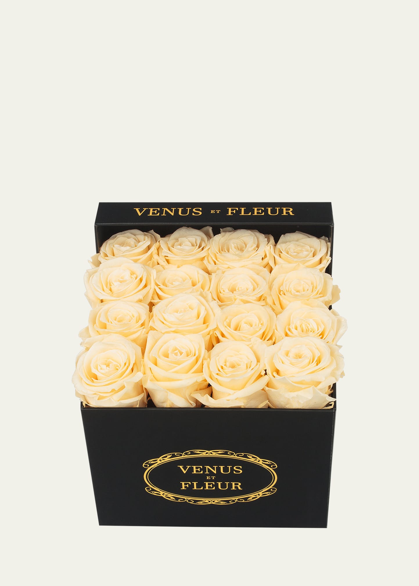 Venus Et Fleur Classic Small Square Rose Box In Champagne