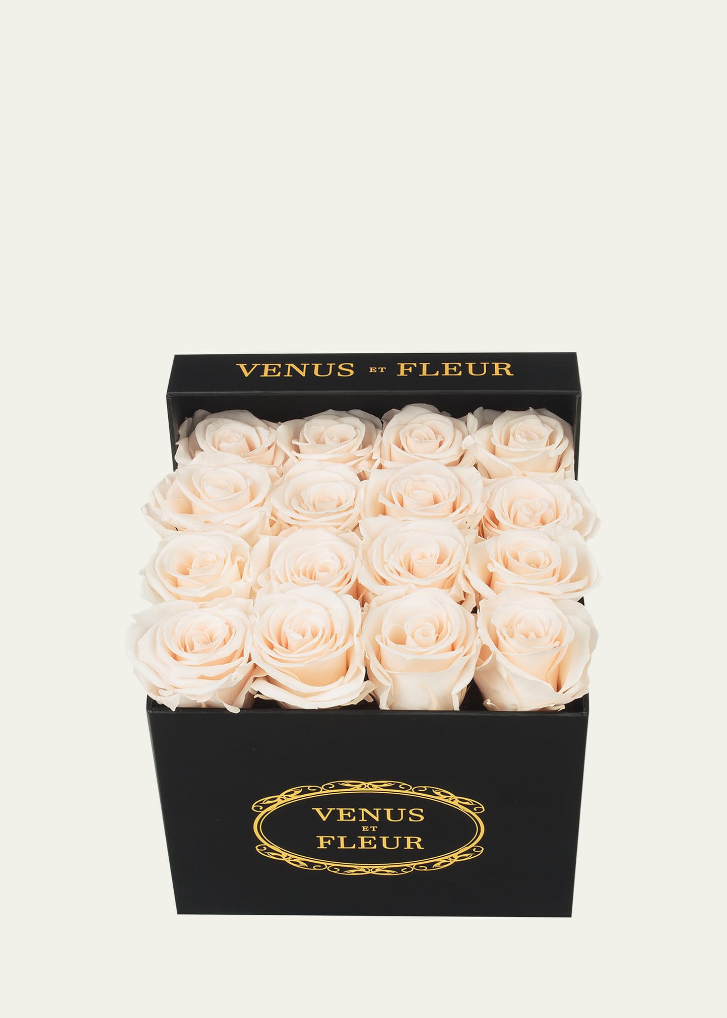 Venus Et Fleur Classic Small Square Rose Box In White