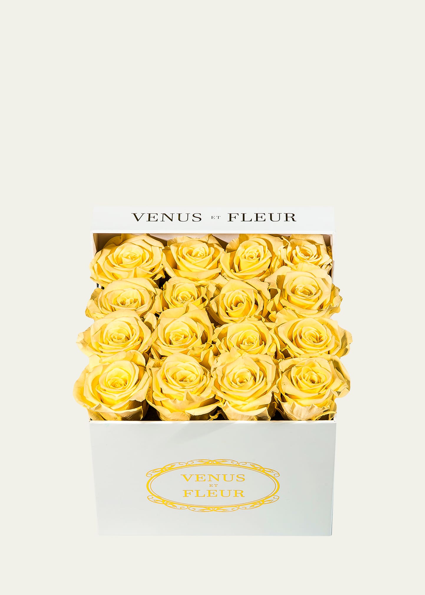 Shop Venus Et Fleur Classic Small Square Rose Box In Champagne