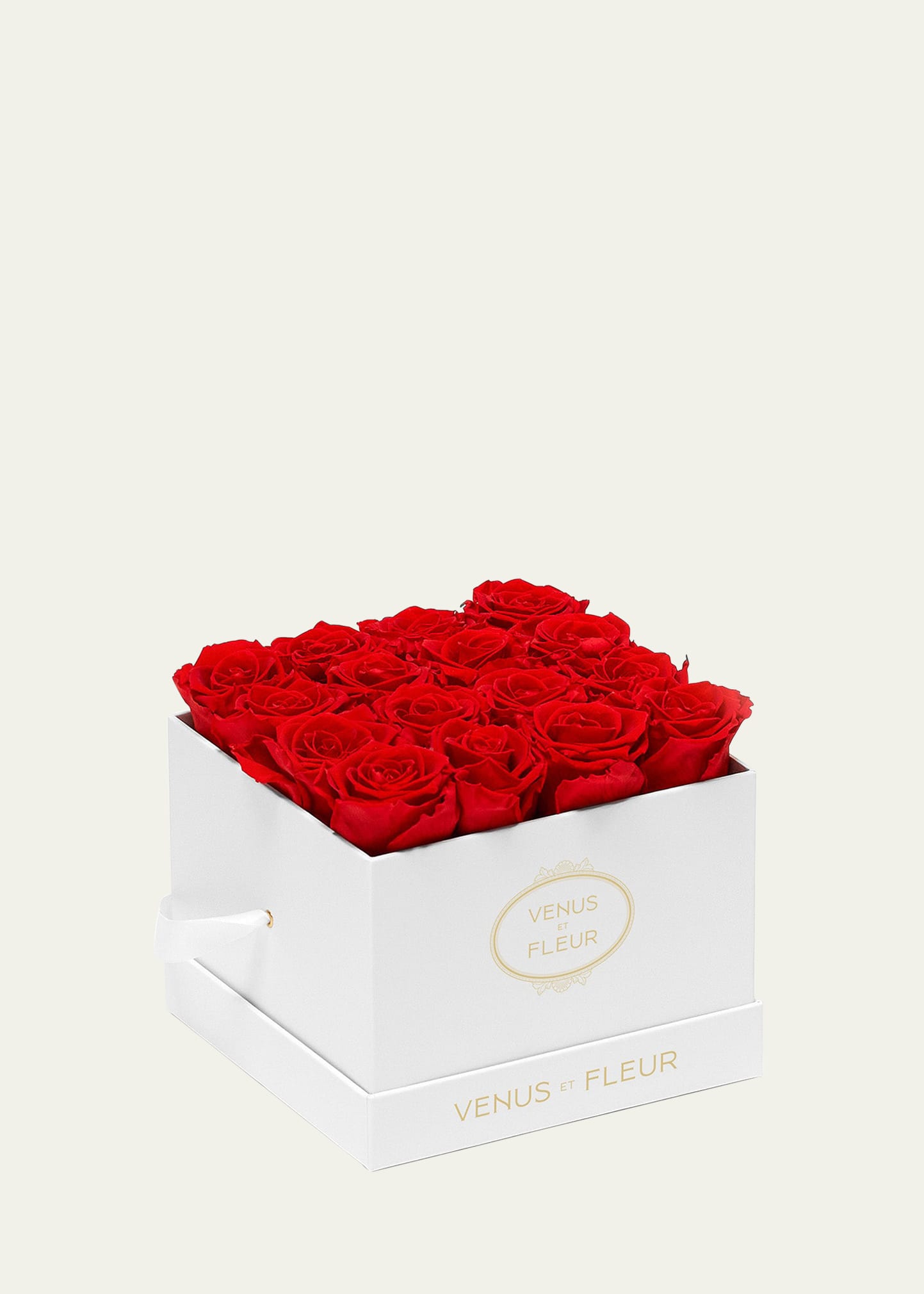 Venus Et Fleur Classic Small Square Rose Box In Red