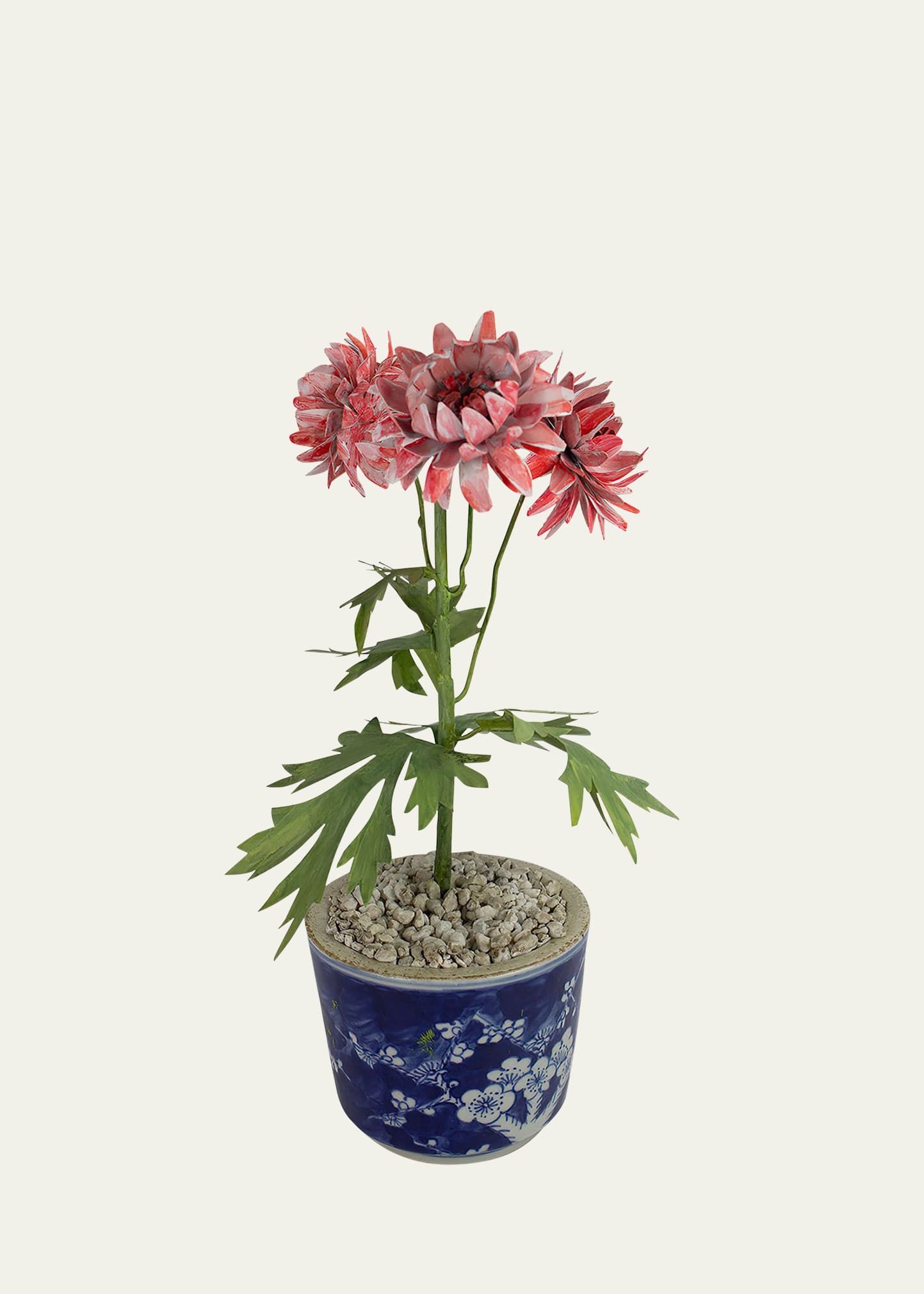 Crysanthemum November Birth Flower in White Terracotta Pot