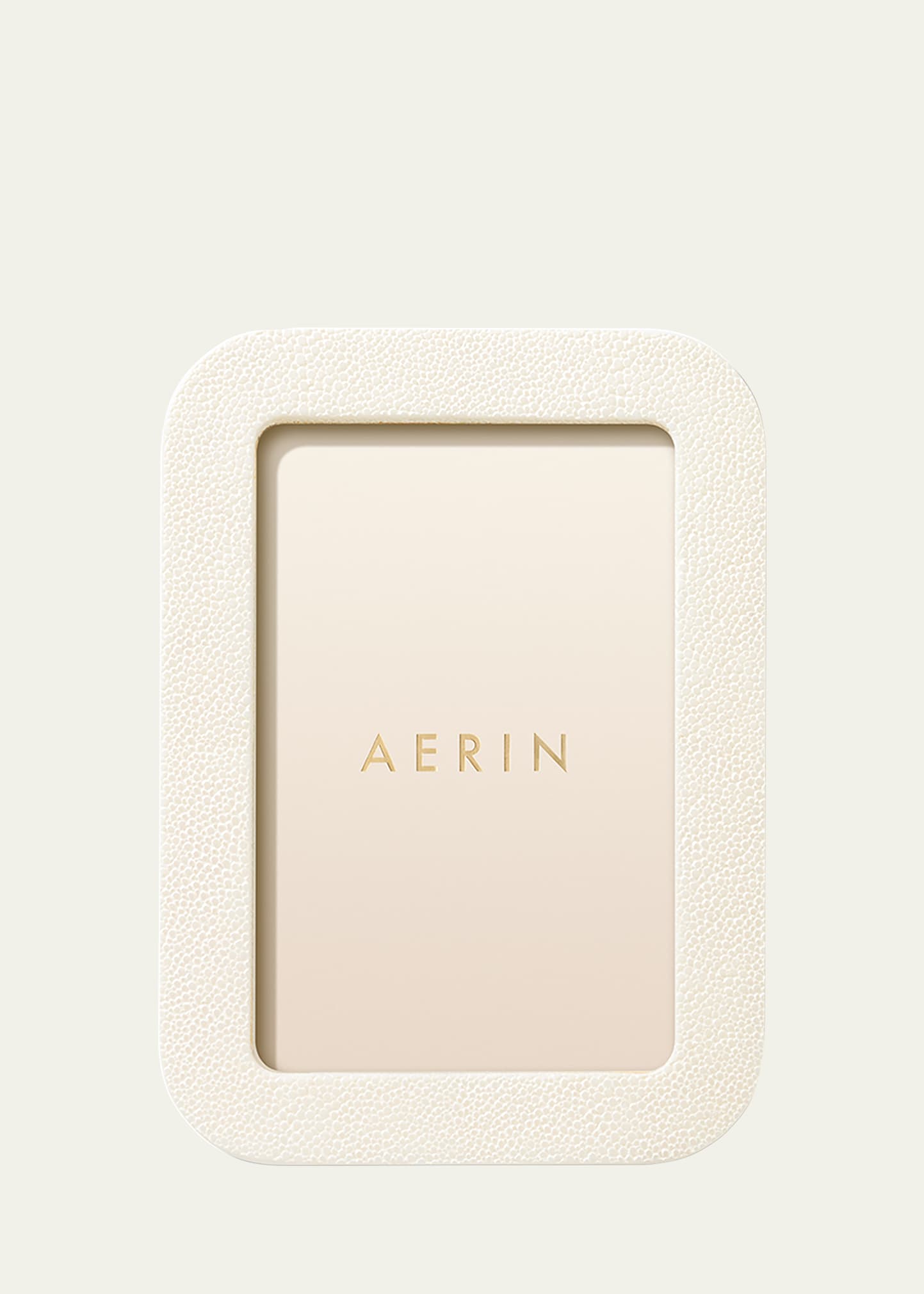 Aerin Modern Shagreen Frame, 4" X 6" In Neutral