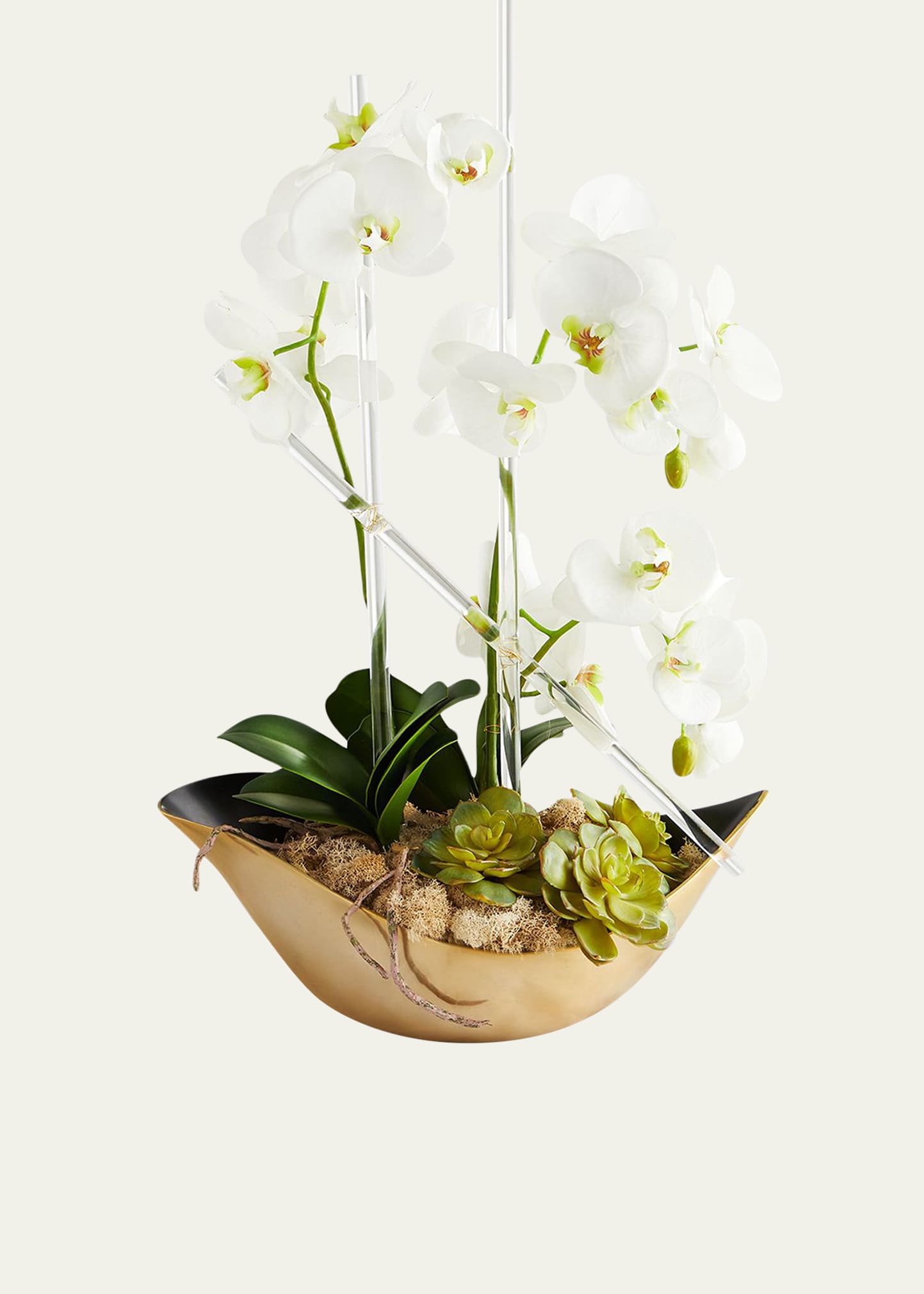 Cambridge Orchid Arrangement