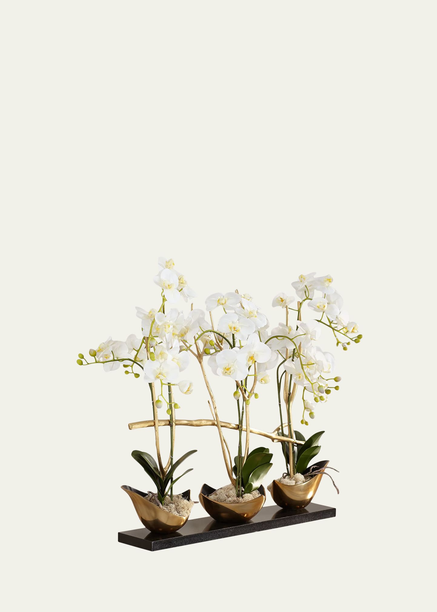 Silhouette Orchids II