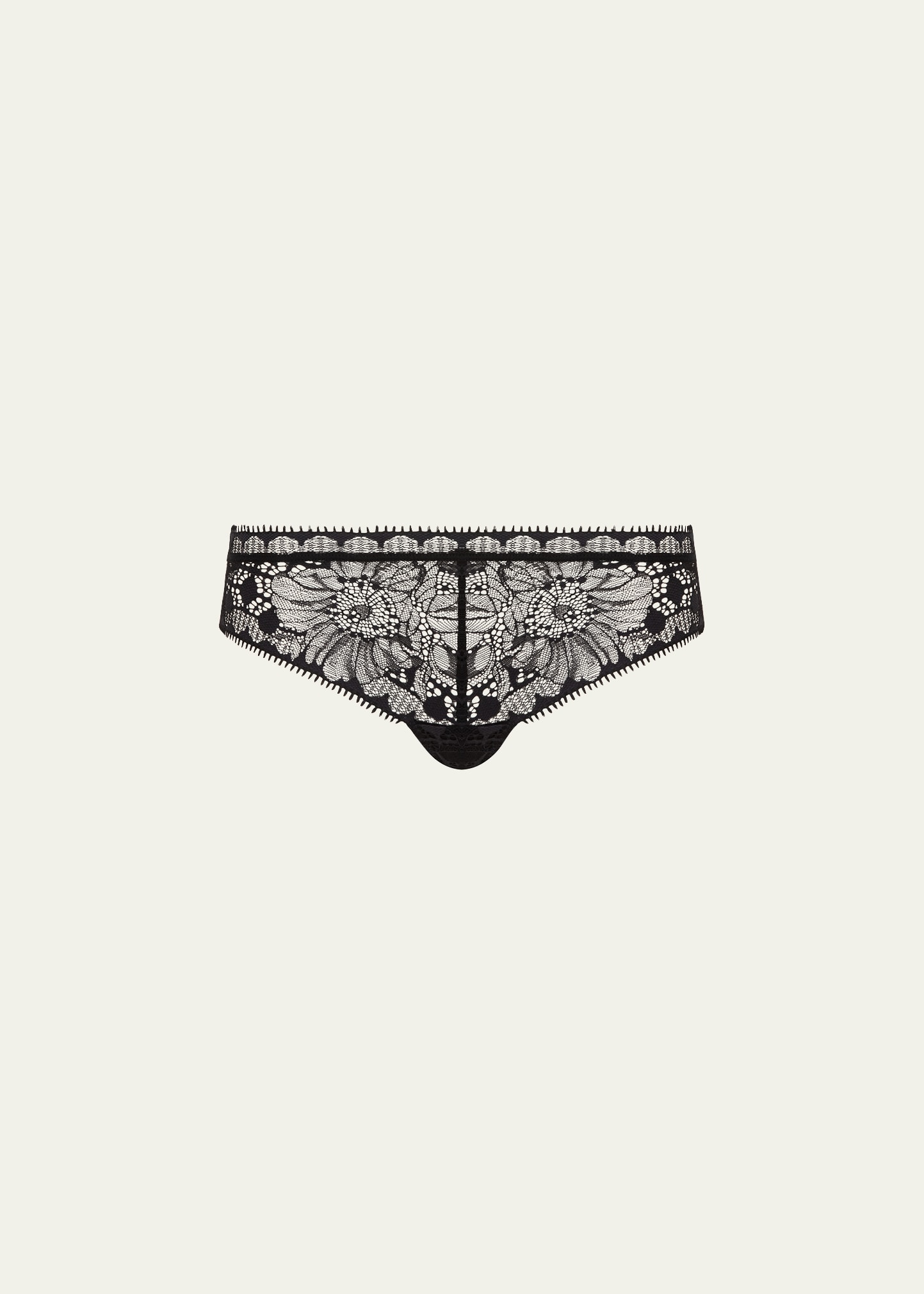 Day to Night Sheer Lace Tanga