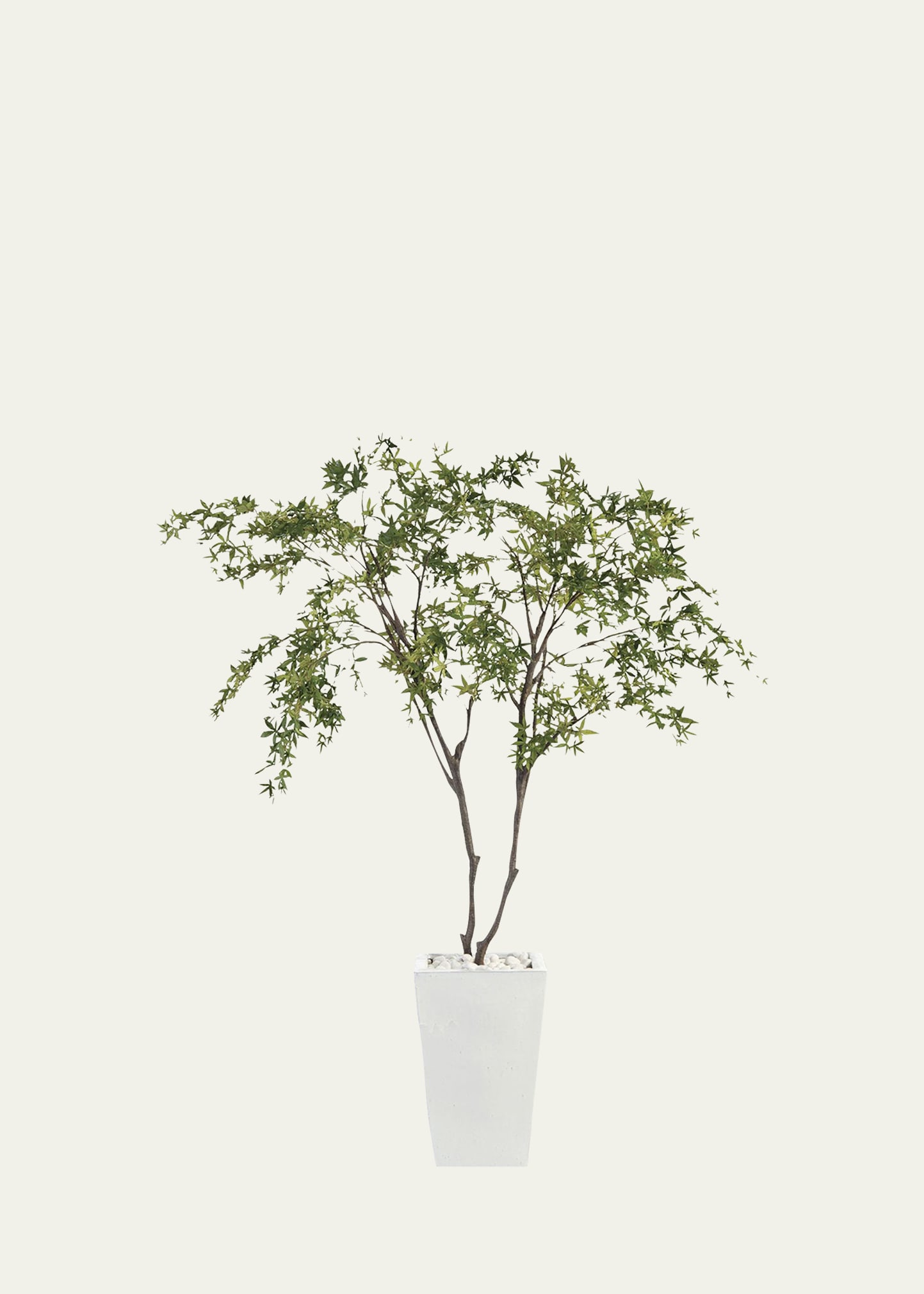 John-richard Collection White Maples Decorative Tree In Green
