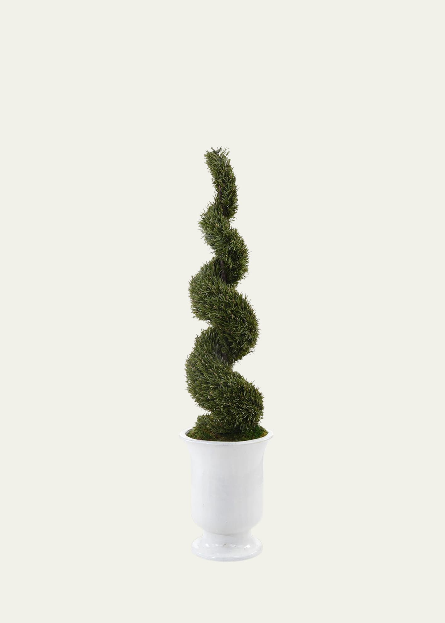 French Versia Topiary Plant