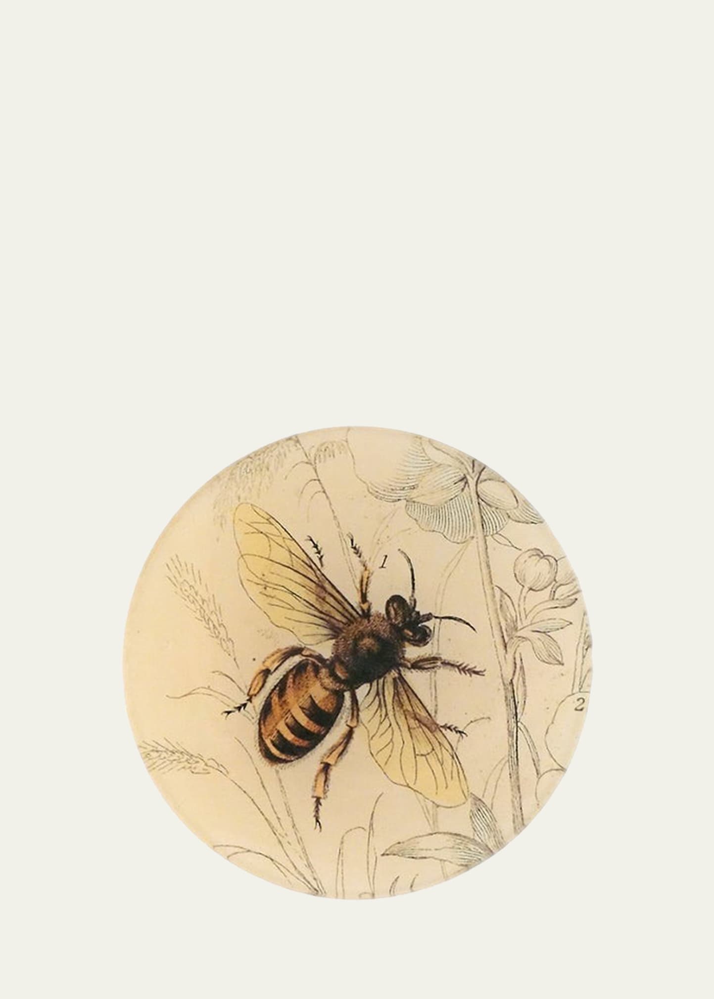 John Derian Honey Bee 5.8" Decorative Plate In Multi