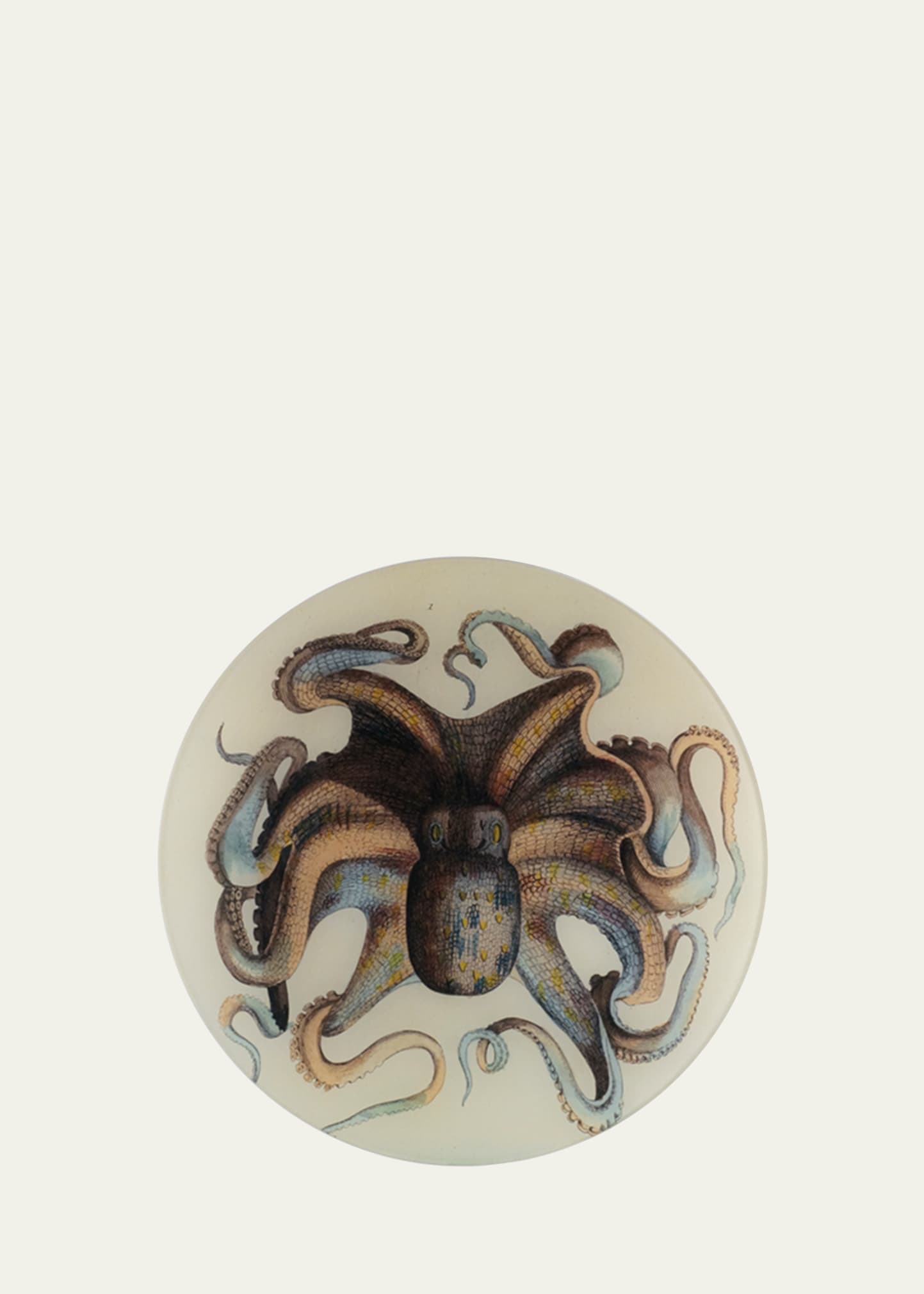 John Derian Octopus Round Dish, 11" In Multi