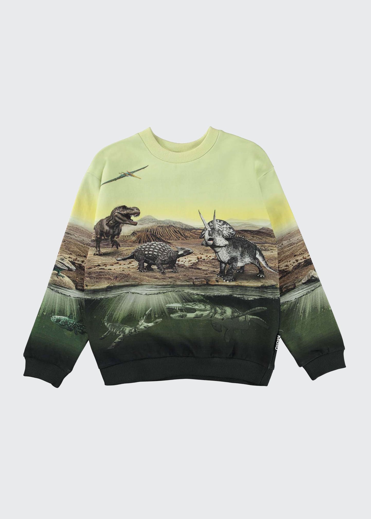 Boy's Miksi Dinosaur-Print Sweatshirt, Size 8-12