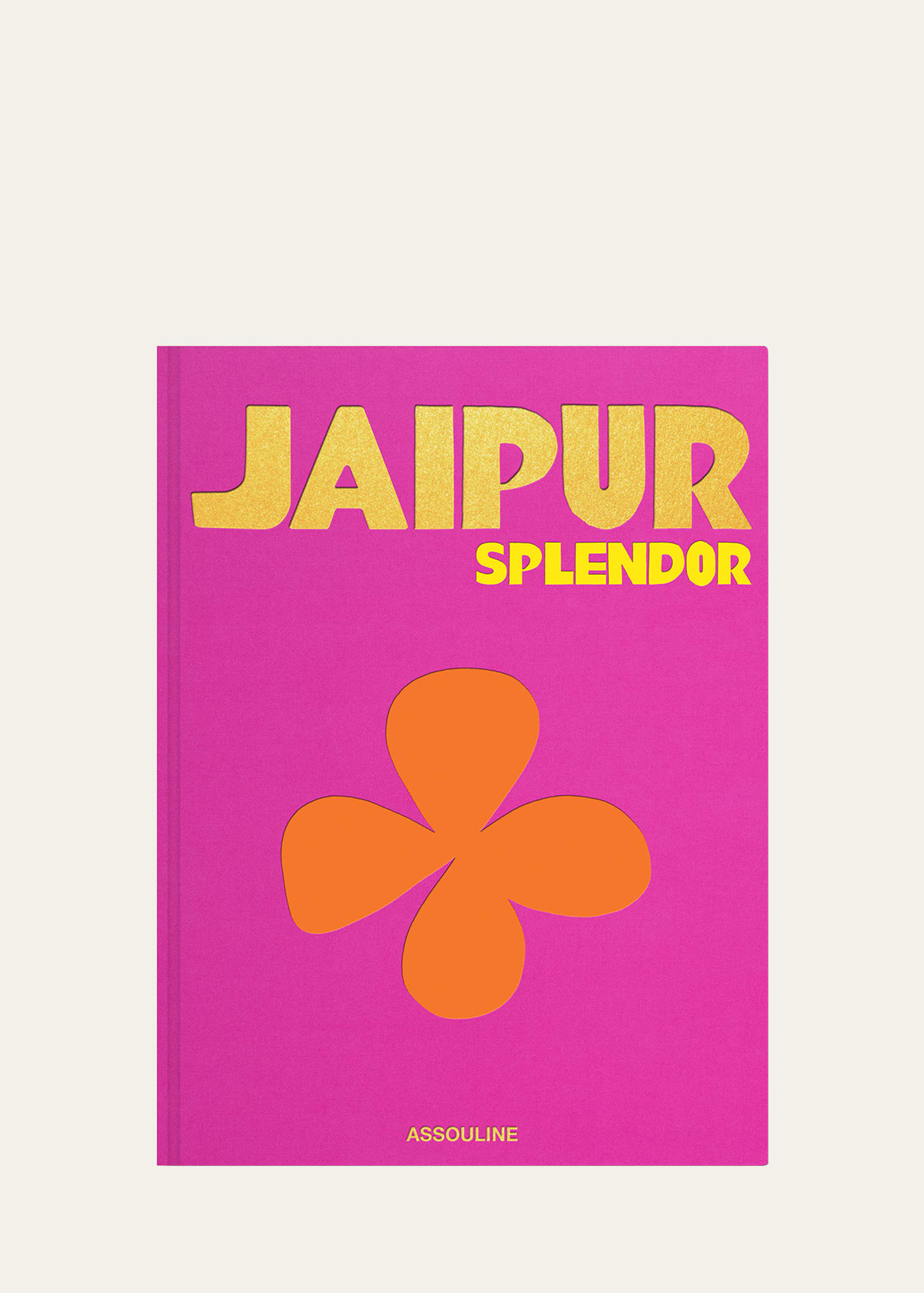 Jaipur Splendor Book