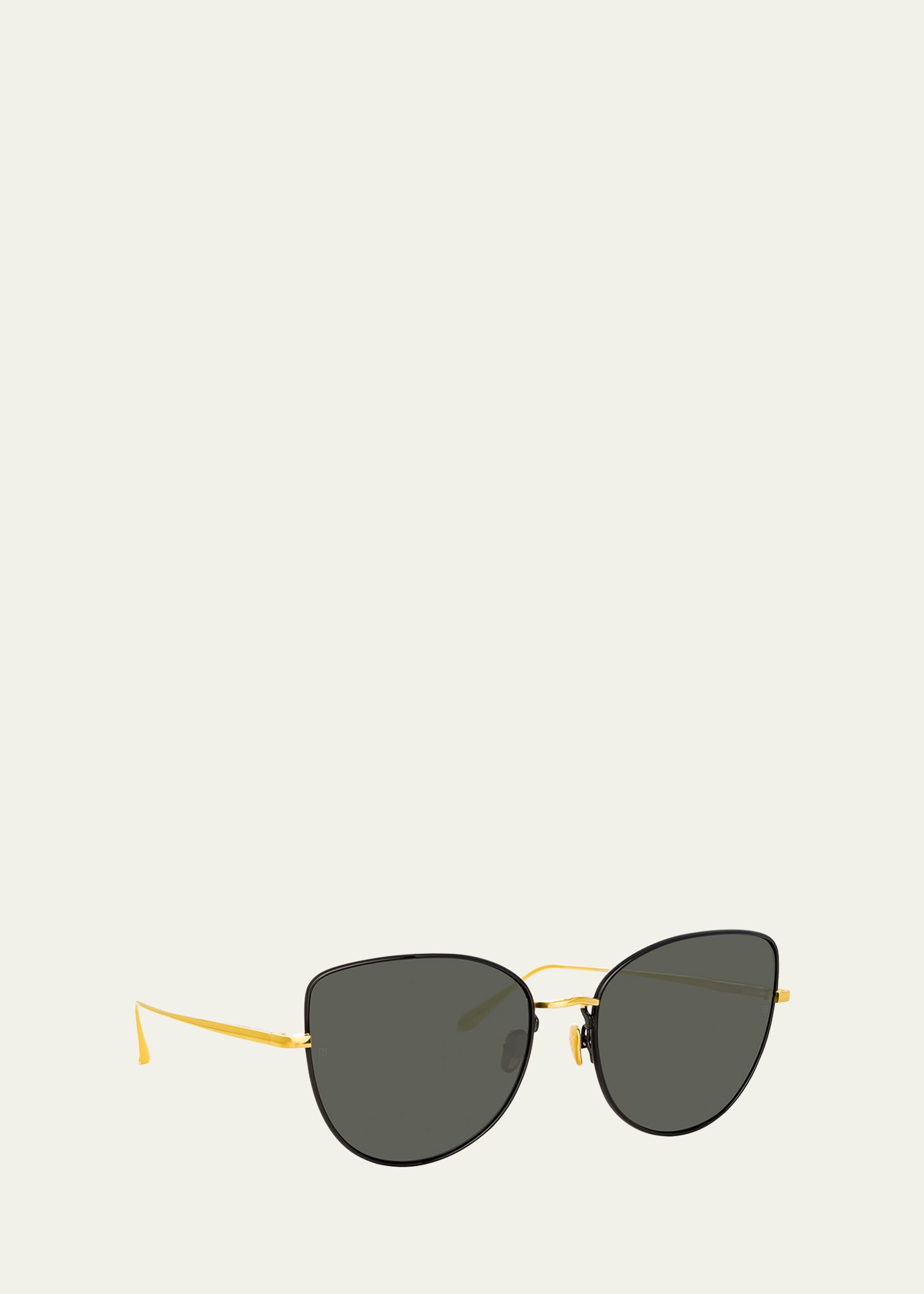 Eloise Titanium & Nylon Cat-Eye Sunglasses