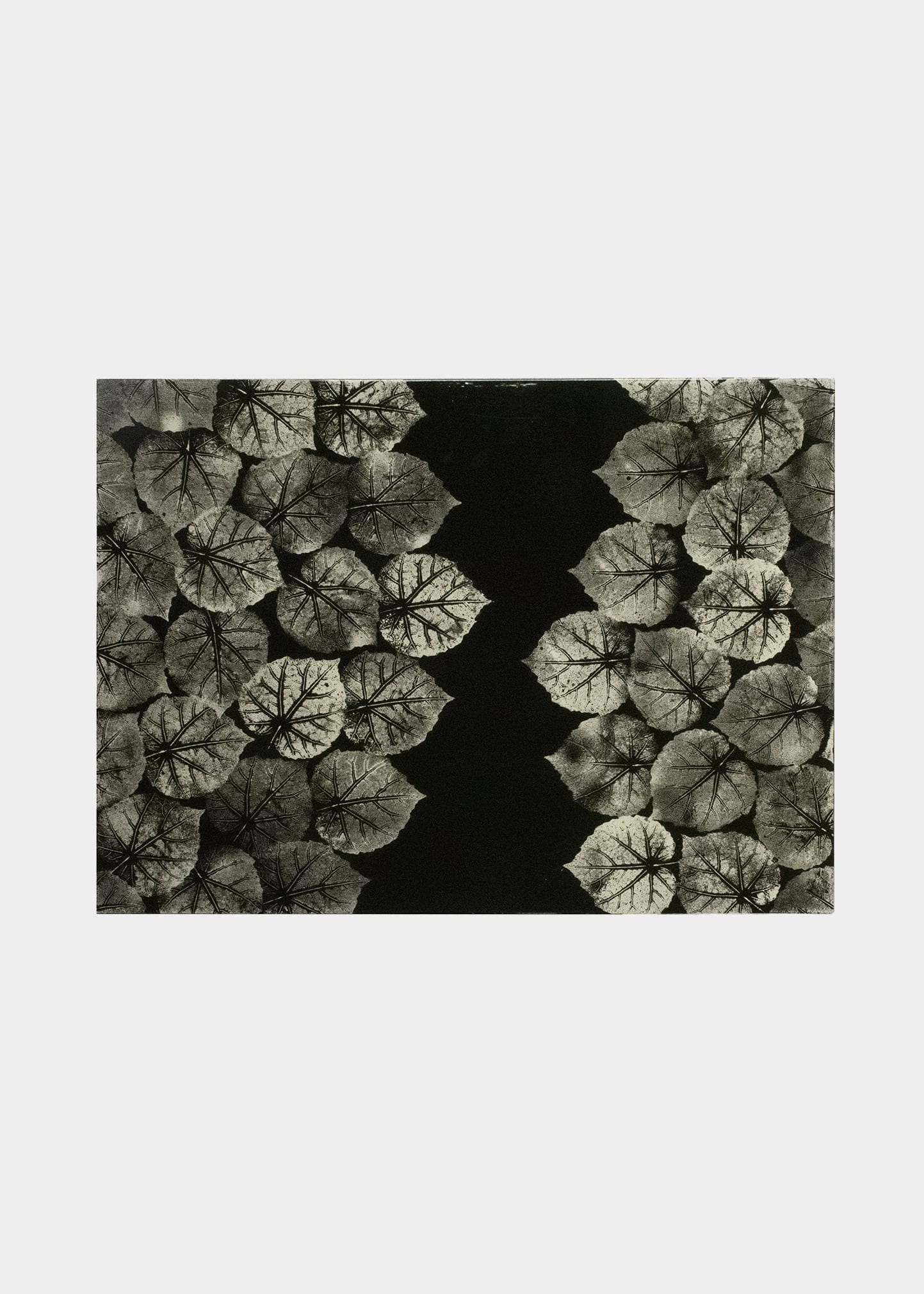 NOMI K SILVER LEAVES BLACK LACQUER PLACEMAT