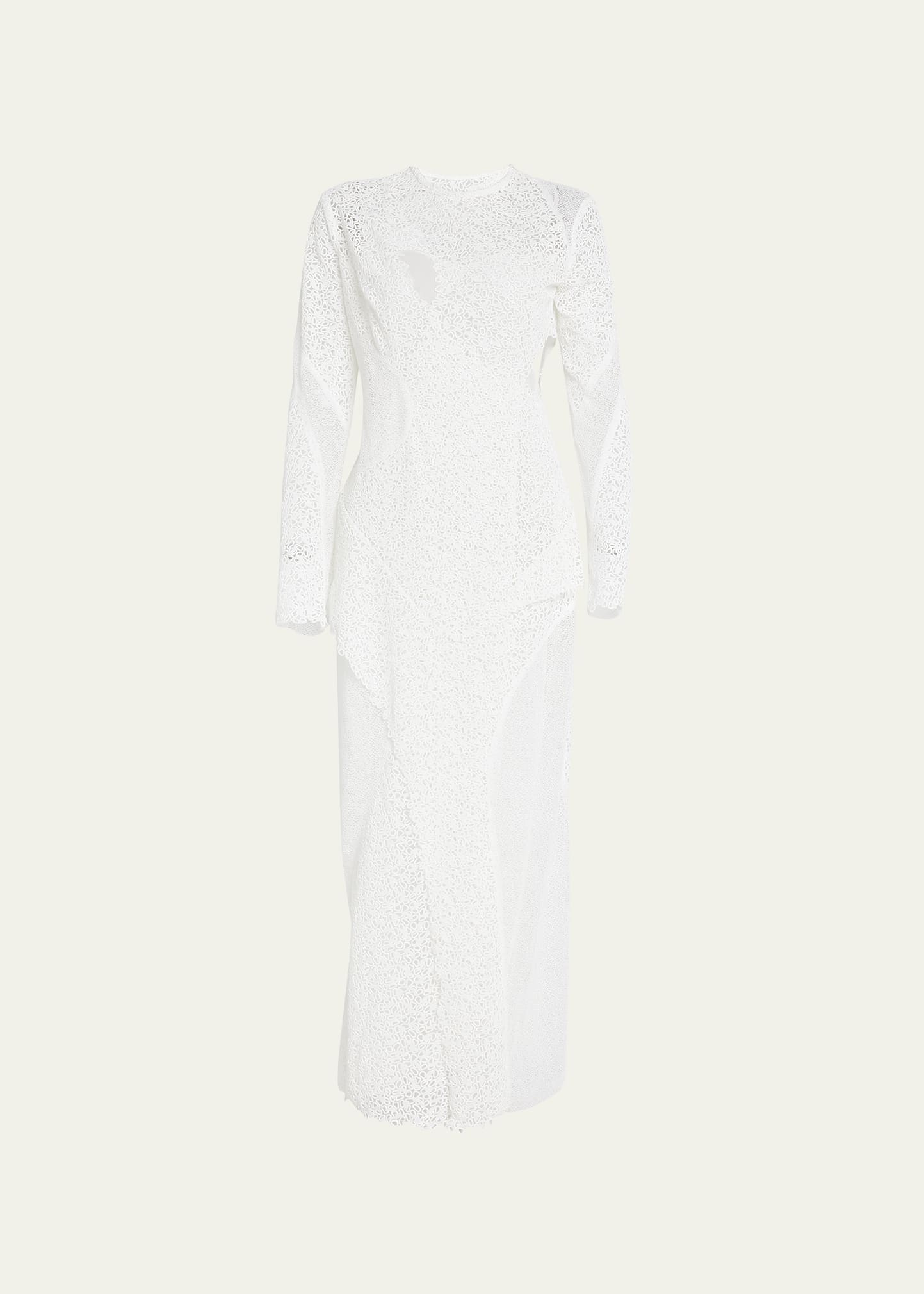 Proenza Schouler Embroidered Lace Evening Dress In White