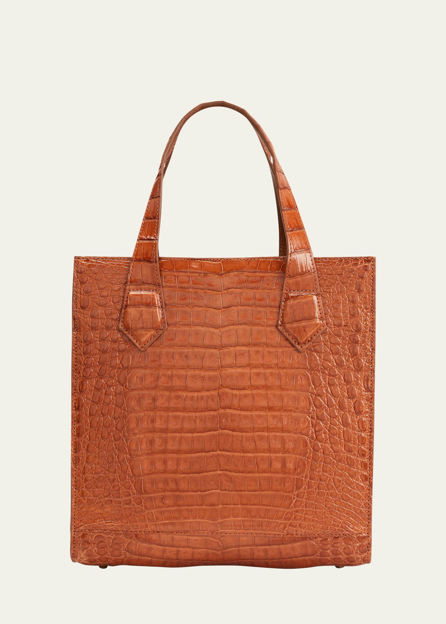 Valencia Leather & Crocodile Top Handle Bag