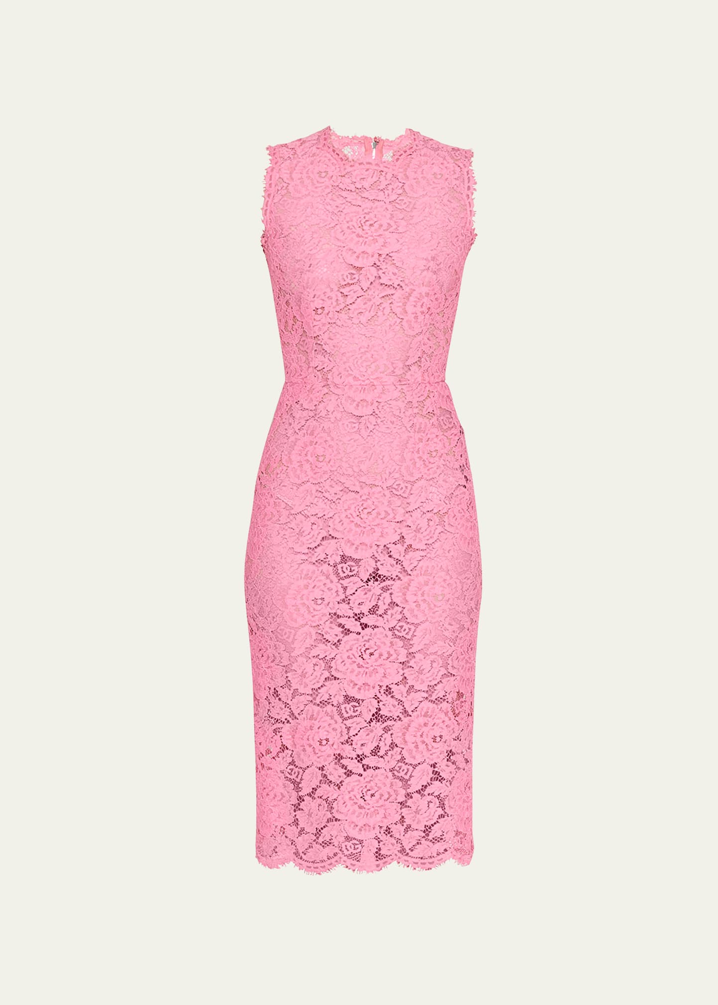 Dolce & Gabbana Women's Stretch-silk Lace Midi Dress In Brig Pink
