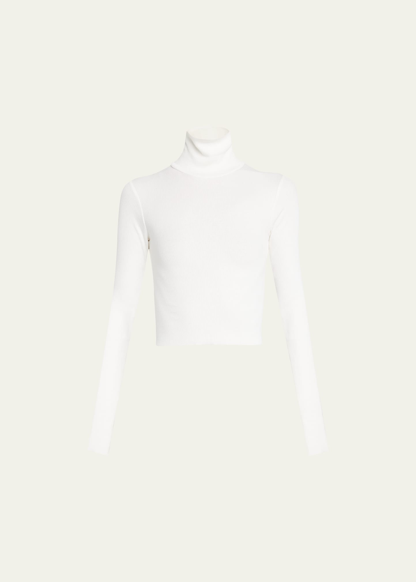 Éterne Cropped Fitted Turtleneck Top In White